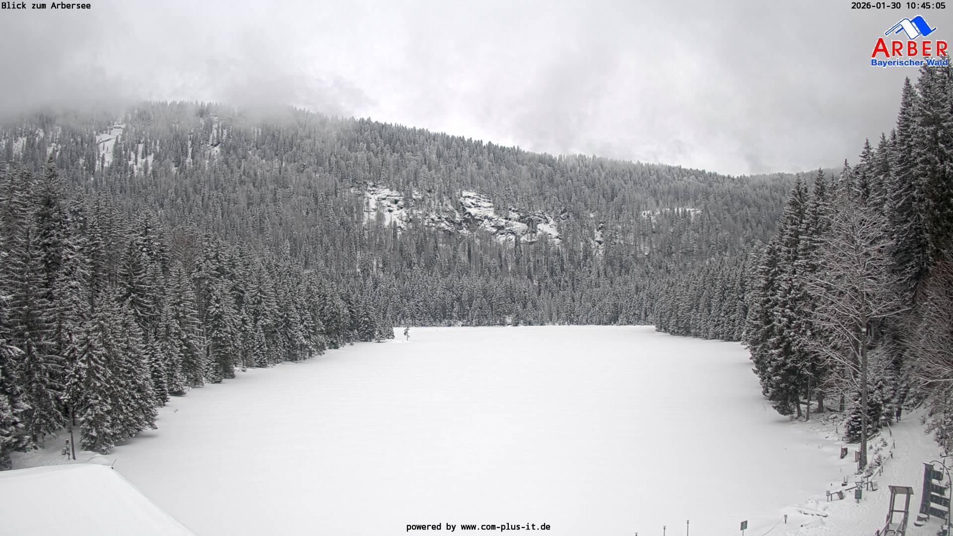 Archiv Foto Webcam Großer Arbersee - Bayerischer Wald