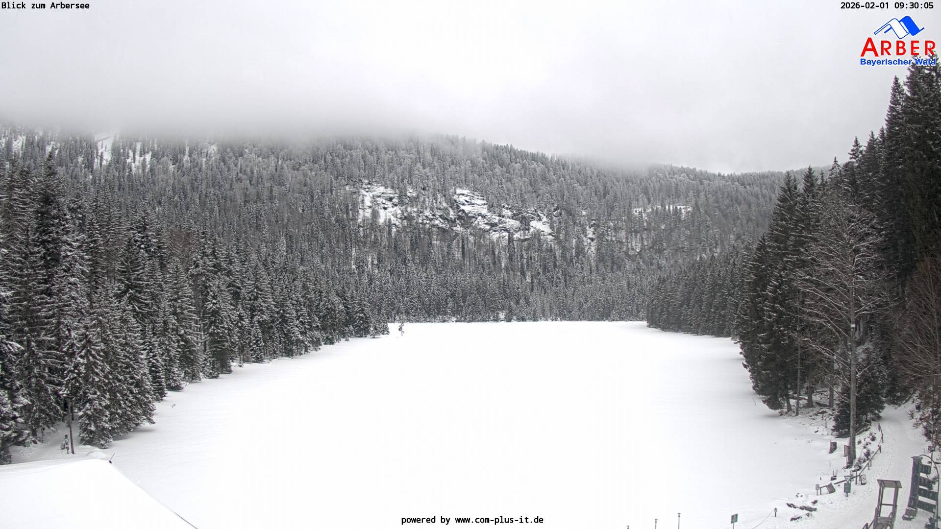 Archiv Foto Webcam Großer Arbersee - Bayerischer Wald