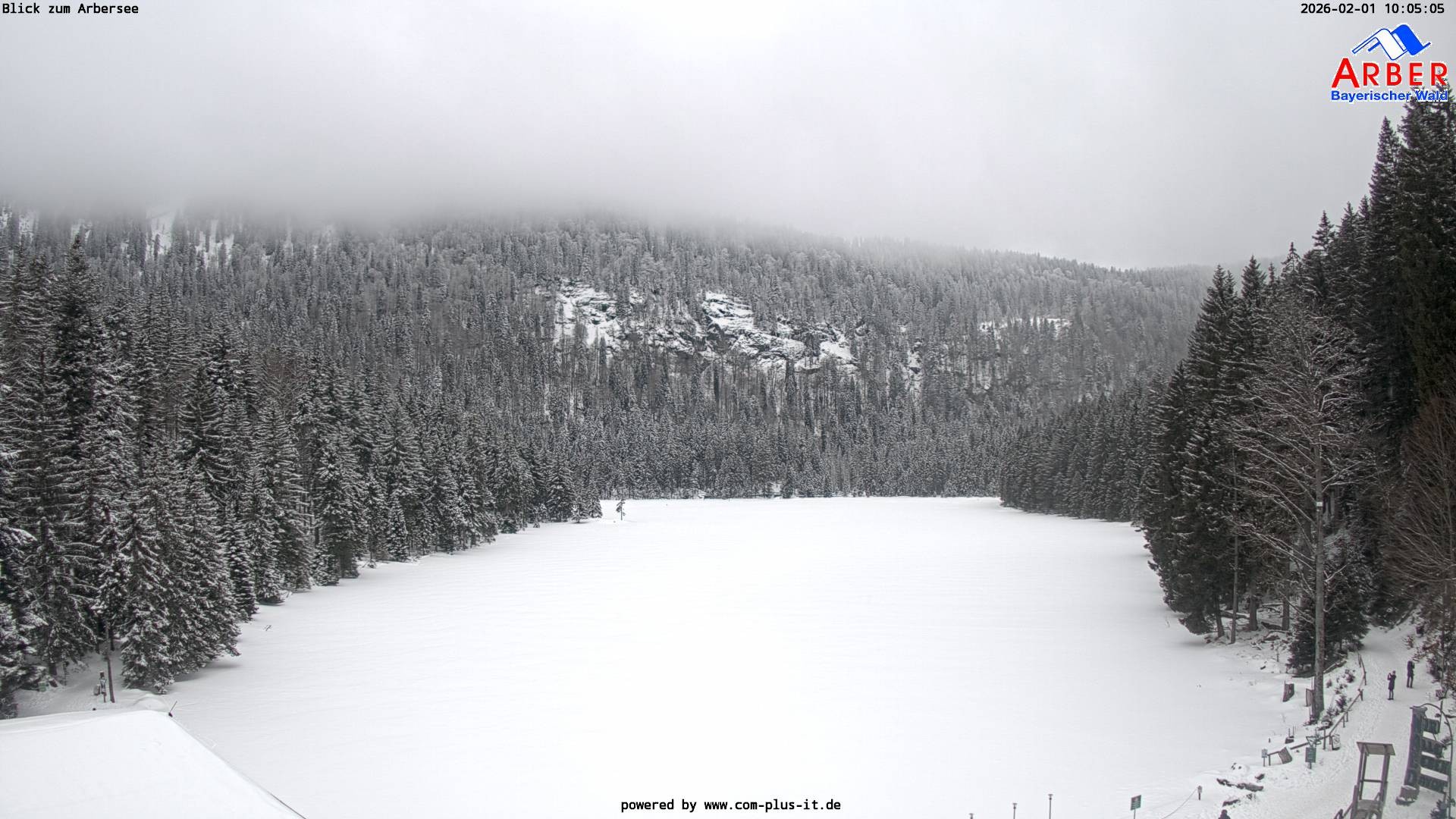 Archiv Foto Webcam Großer Arbersee - Bayerischer Wald