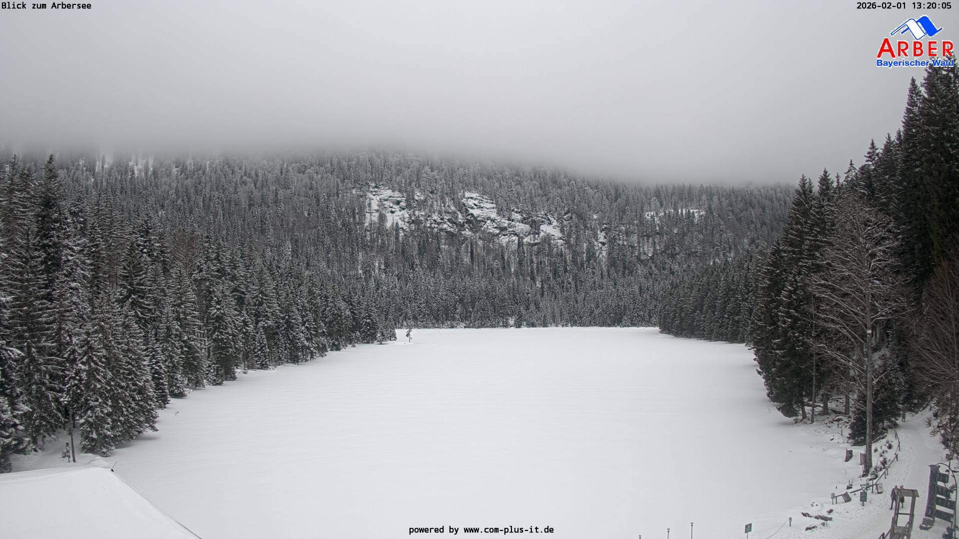 Archiv Foto Webcam Großer Arbersee - Bayerischer Wald