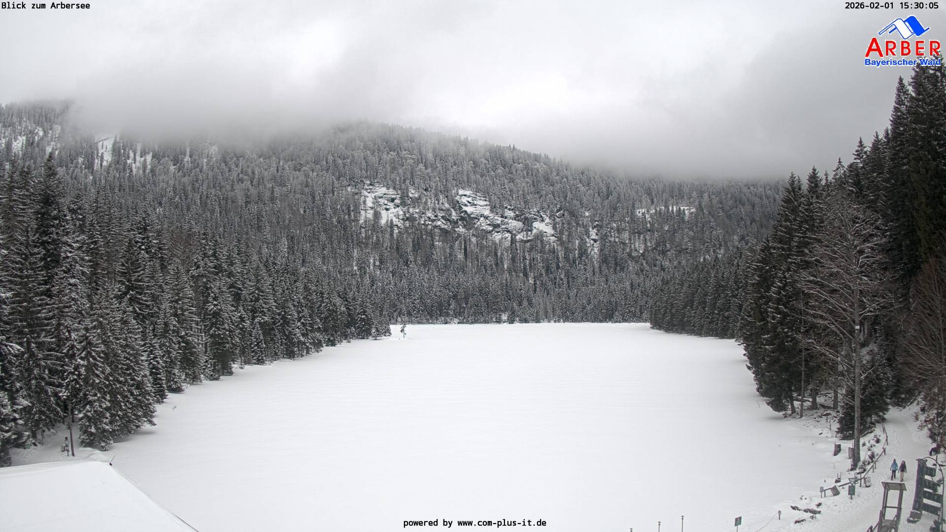 Archiv Foto Webcam Großer Arbersee - Bayerischer Wald