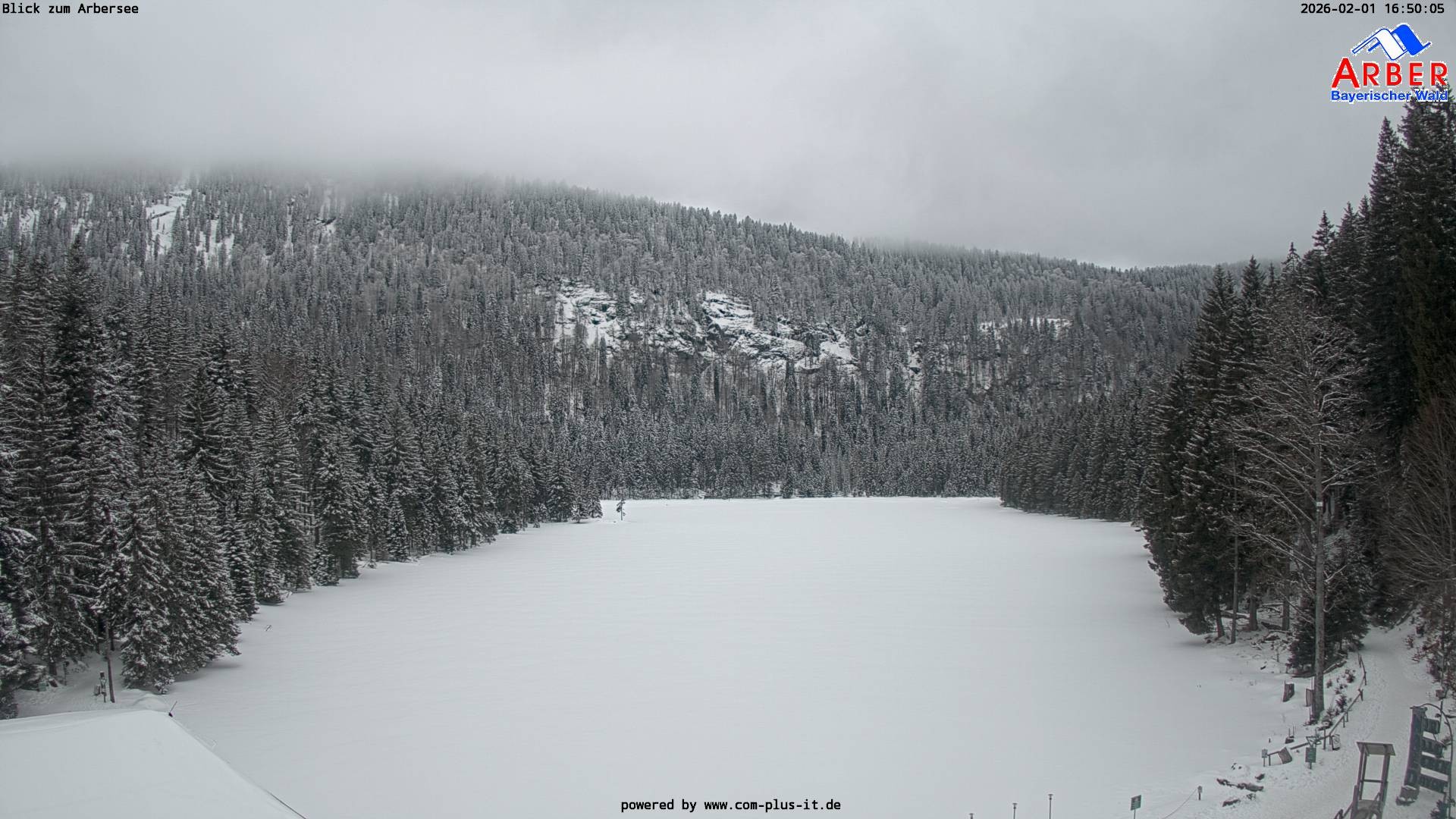 Archiv Foto Webcam Großer Arbersee - Bayerischer Wald
