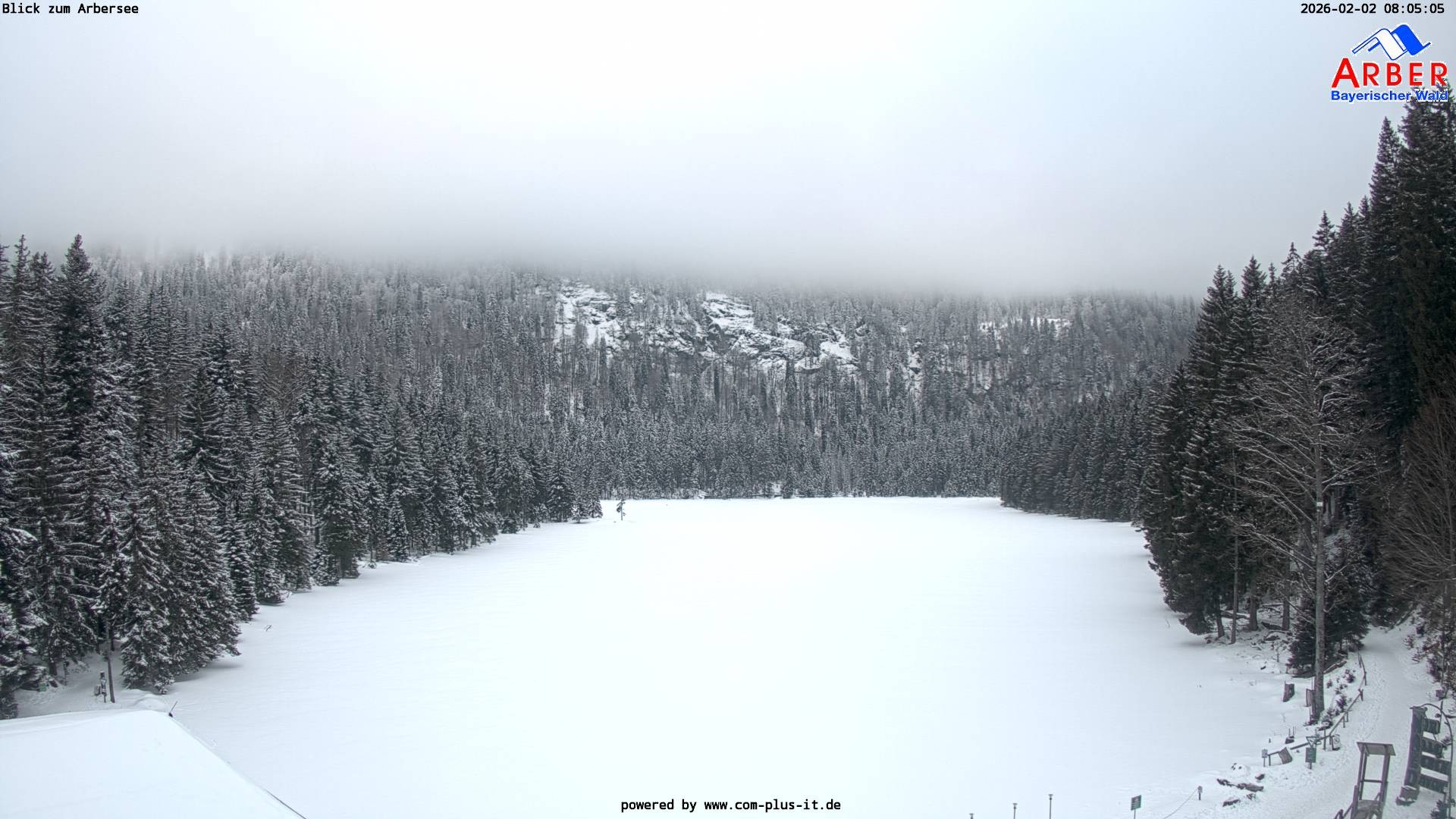 Archiv Foto Webcam Großer Arbersee - Bayerischer Wald
