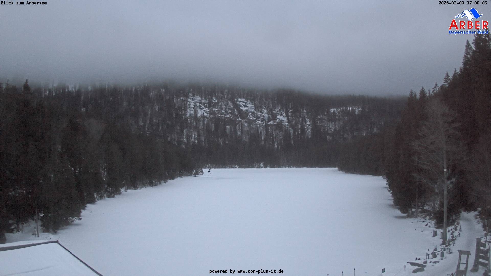Archiv Foto Webcam Großer Arbersee - Bayerischer Wald