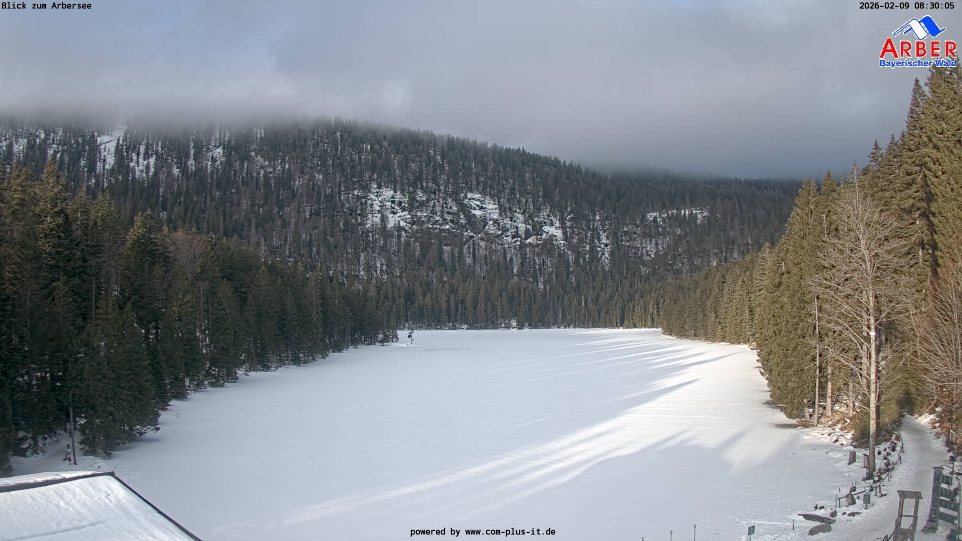 Archiv Foto Webcam Großer Arbersee - Bayerischer Wald