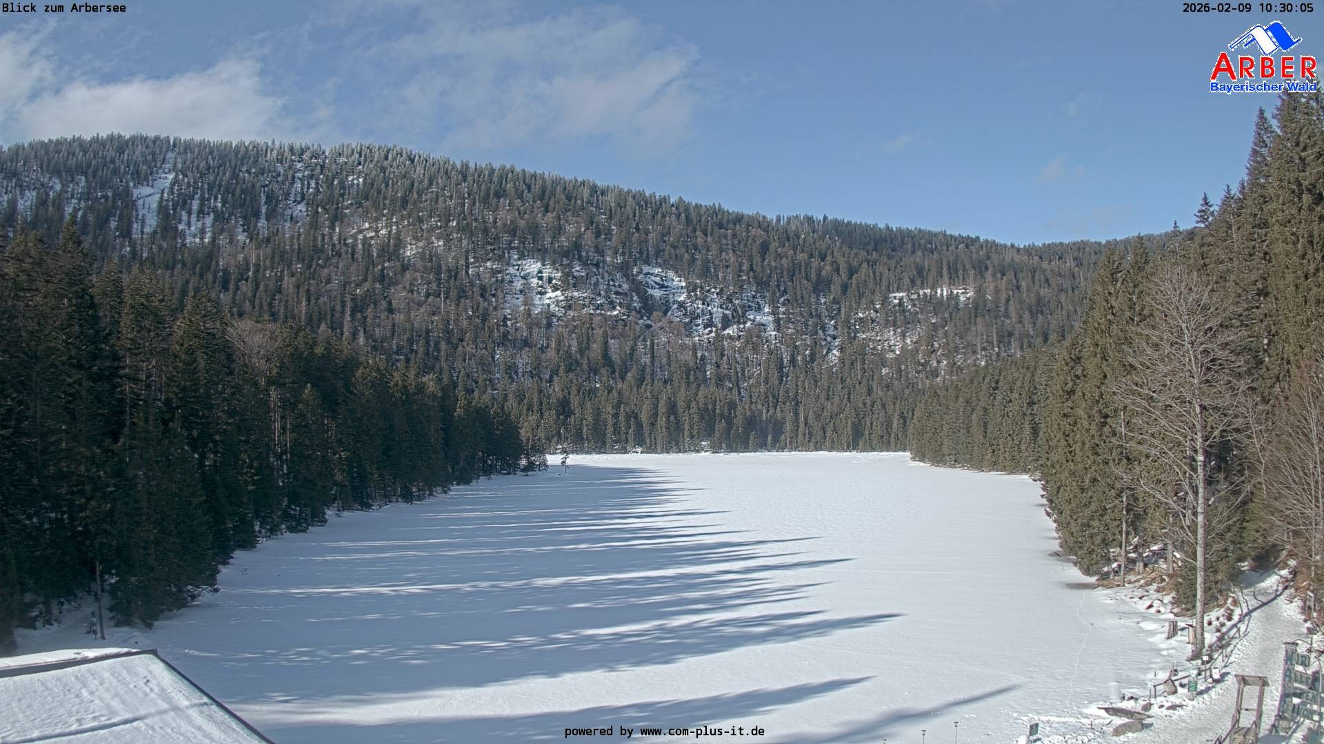 Archiv Foto Webcam Großer Arbersee - Bayerischer Wald