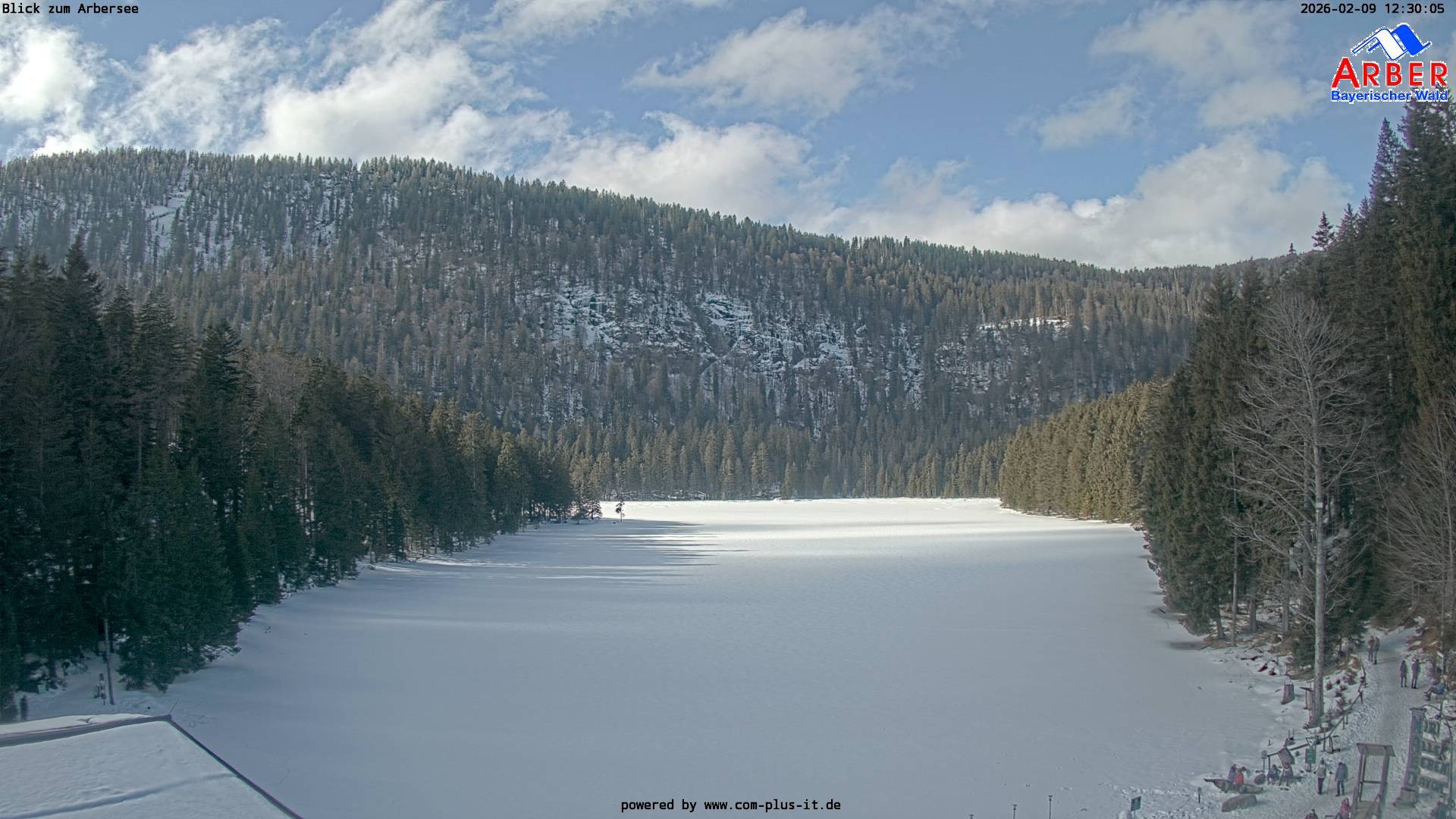 Archiv Foto Webcam Großer Arbersee - Bayerischer Wald