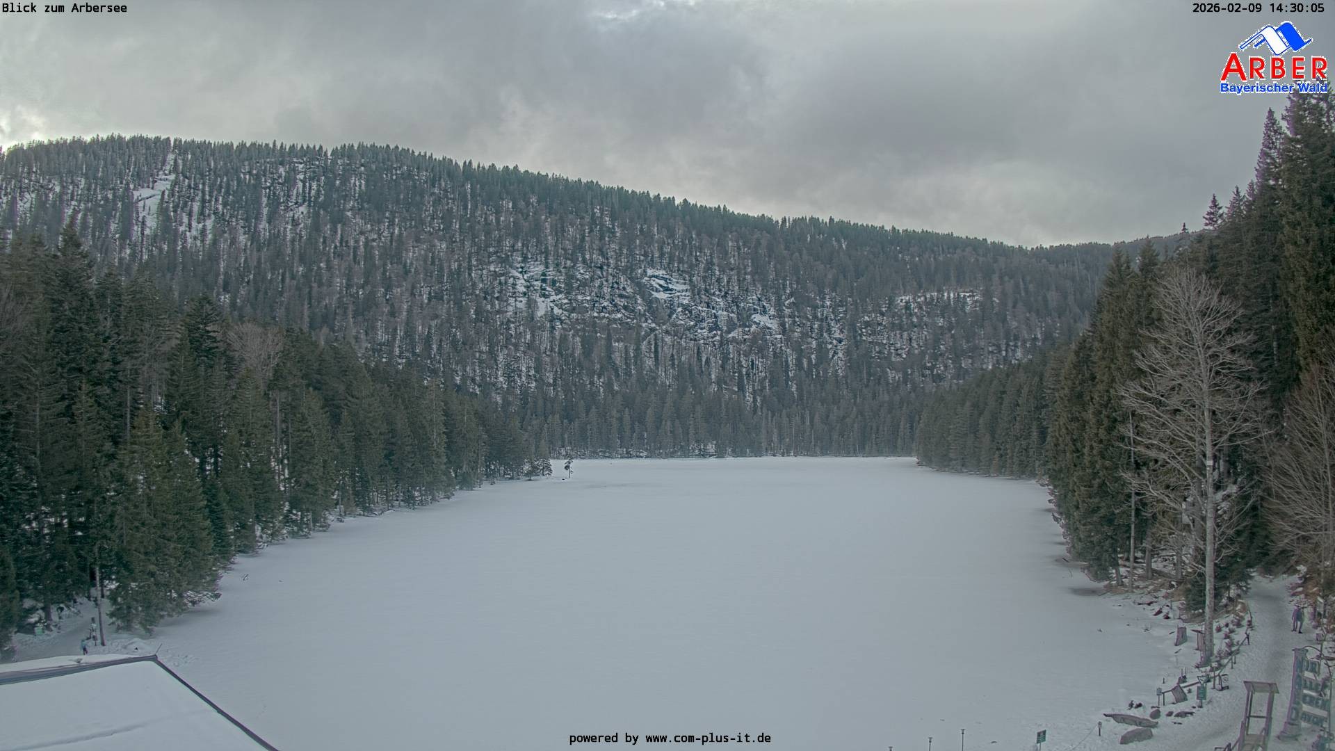 Archiv Foto Webcam Großer Arbersee - Bayerischer Wald