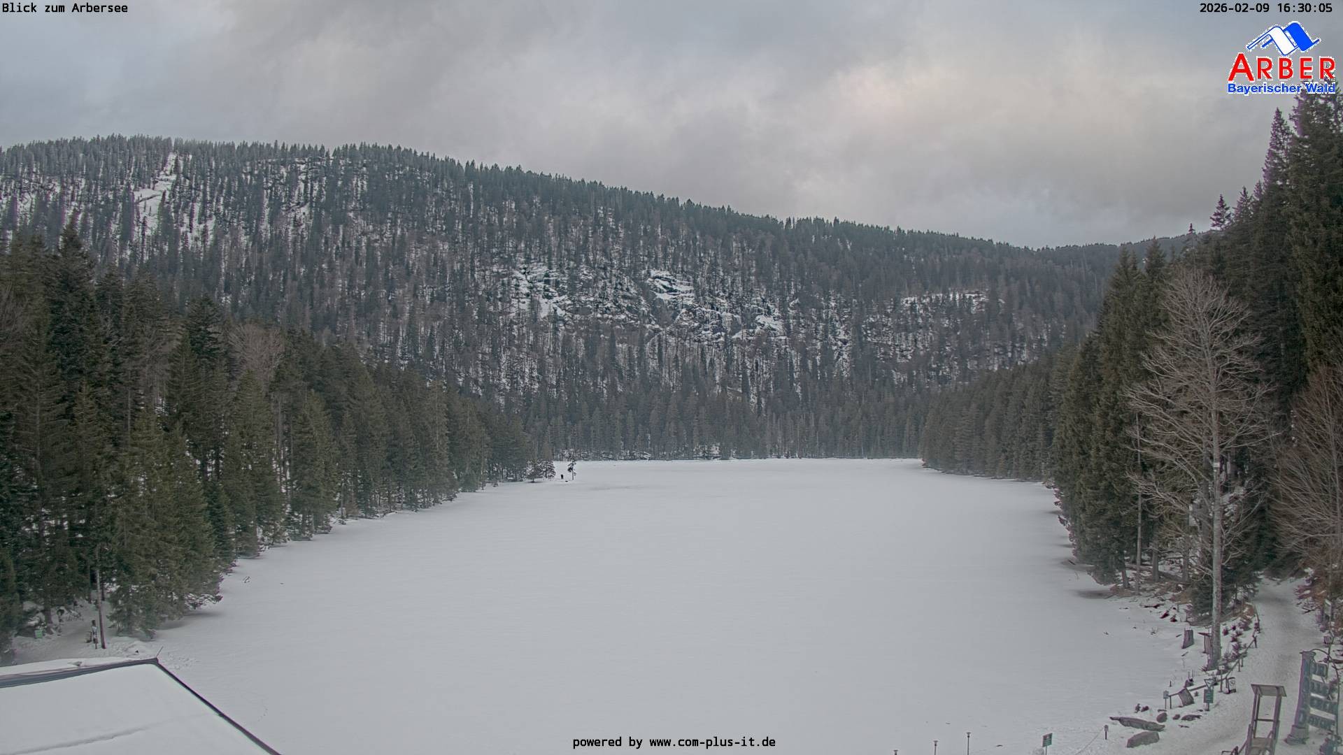 Archiv Foto Webcam Großer Arbersee - Bayerischer Wald
