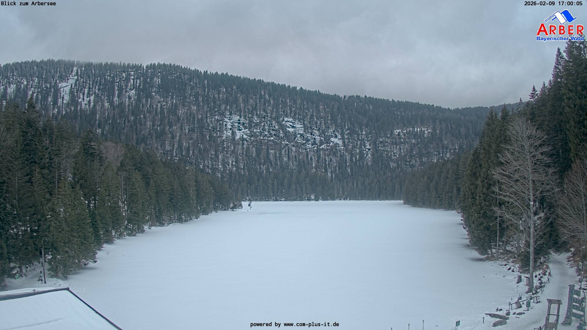 Archiv Foto Webcam Großer Arbersee - Bayerischer Wald