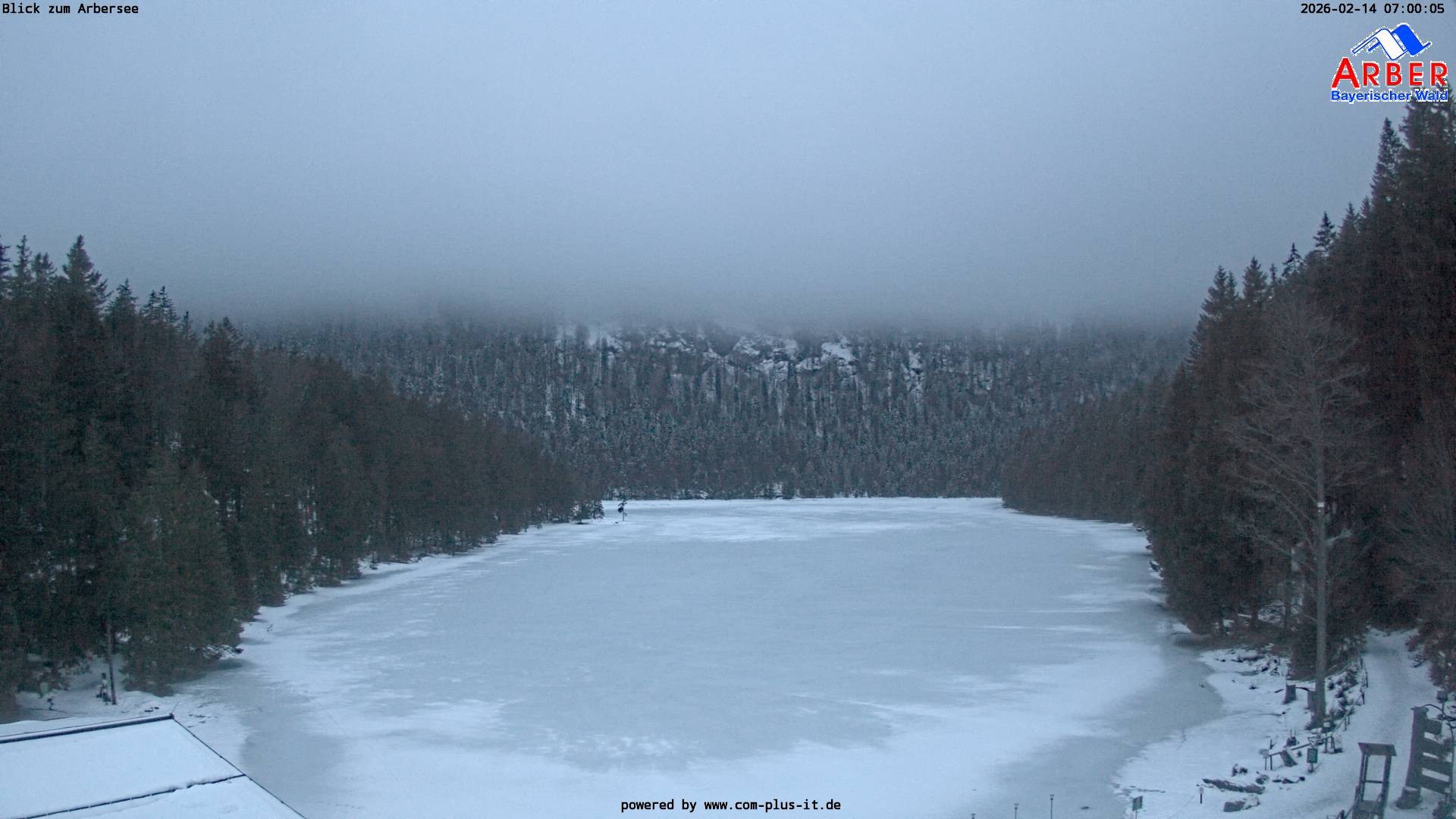 Archiv Foto Webcam Großer Arbersee - Bayerischer Wald