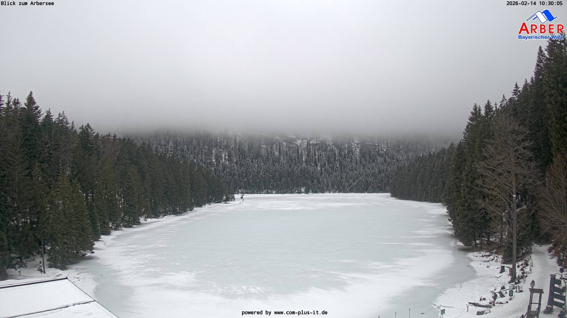 Archiv Foto Webcam Großer Arbersee - Bayerischer Wald