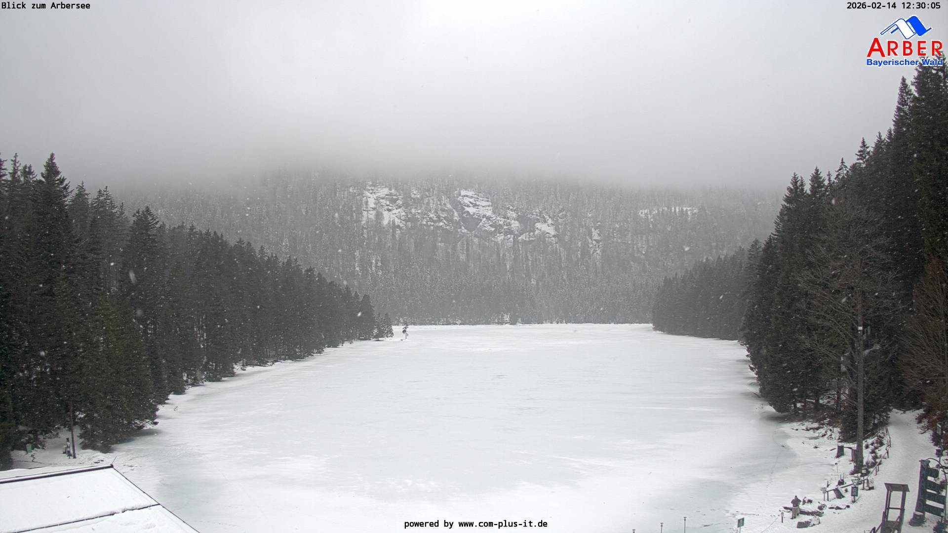 Archiv Foto Webcam Großer Arbersee - Bayerischer Wald