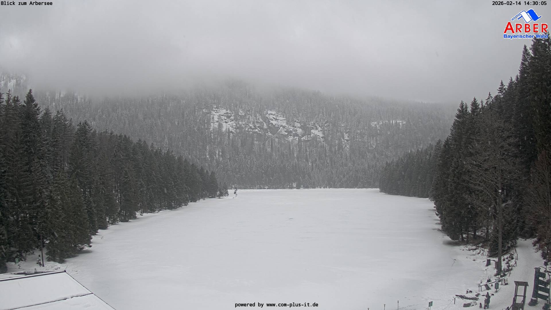 Archiv Foto Webcam Großer Arbersee - Bayerischer Wald