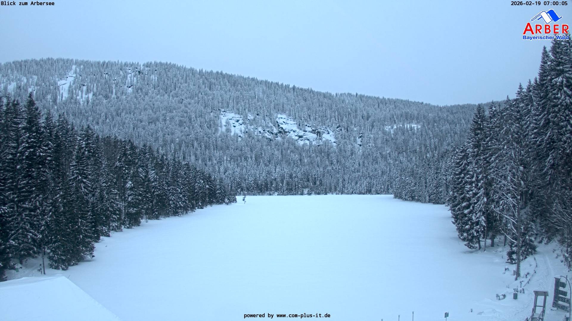 Archiv Foto Webcam Großer Arbersee - Bayerischer Wald