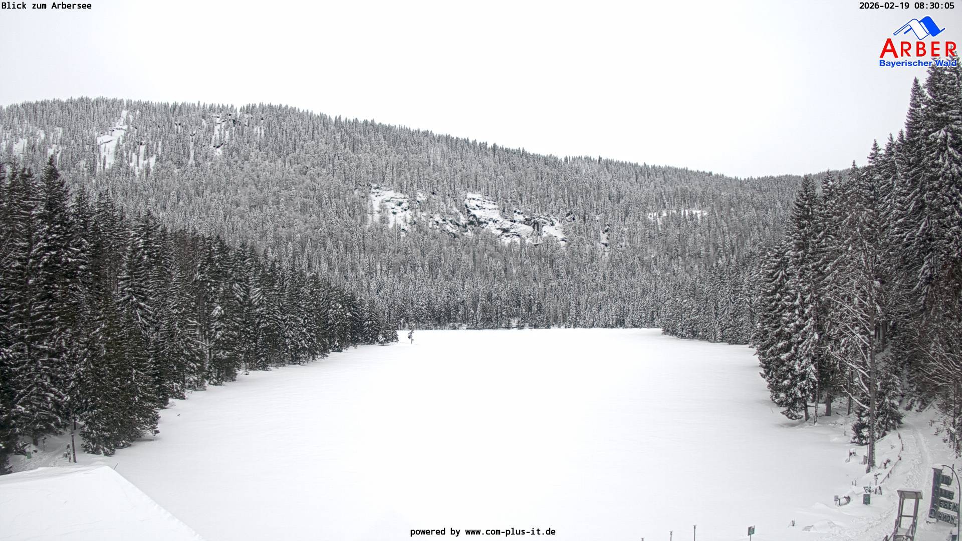 Archiv Foto Webcam Großer Arbersee - Bayerischer Wald
