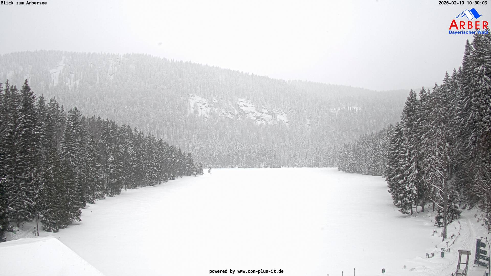 Archiv Foto Webcam Großer Arbersee - Bayerischer Wald