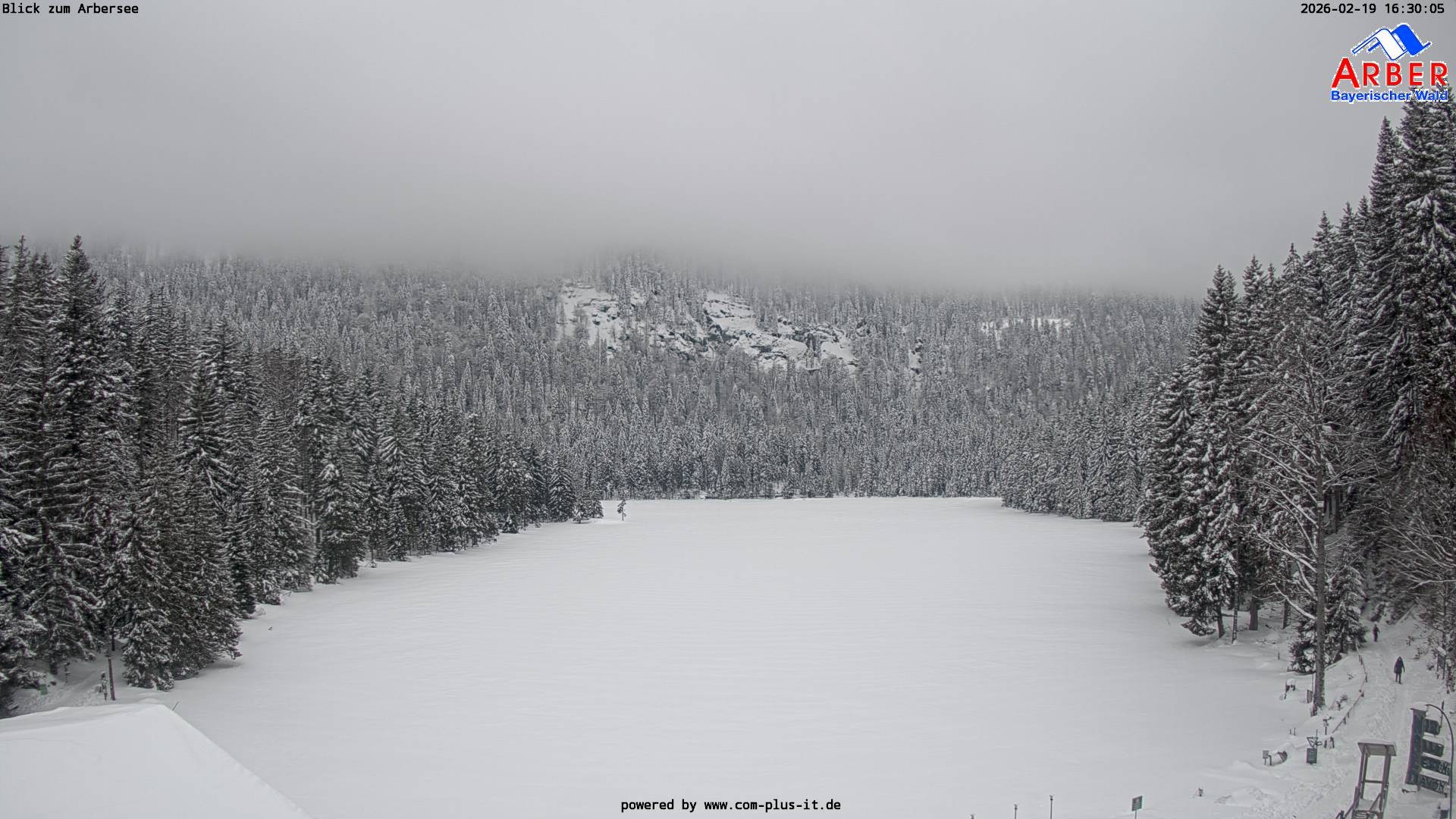 Archiv Foto Webcam Großer Arbersee - Bayerischer Wald