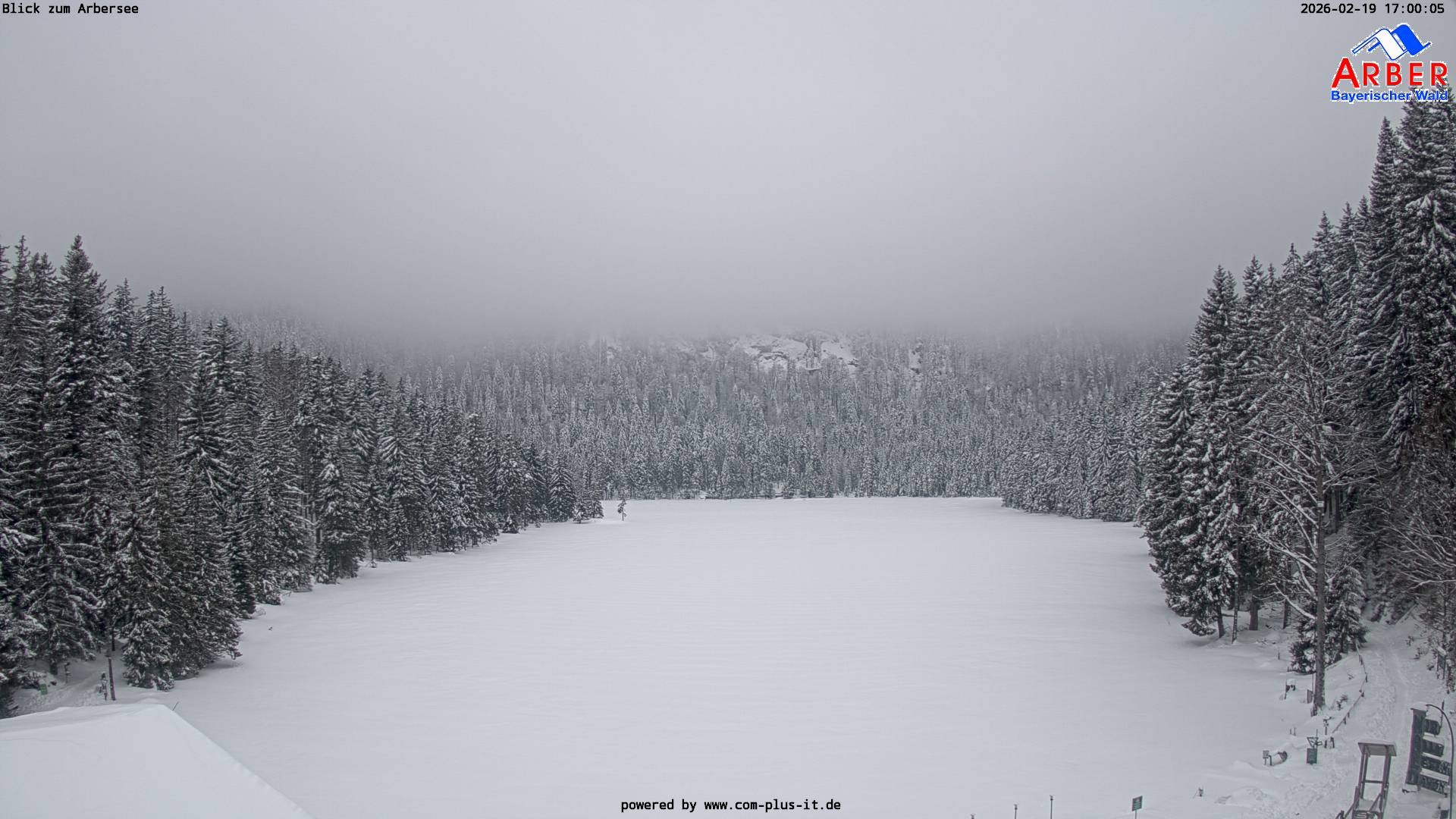 Archiv Foto Webcam Großer Arbersee - Bayerischer Wald