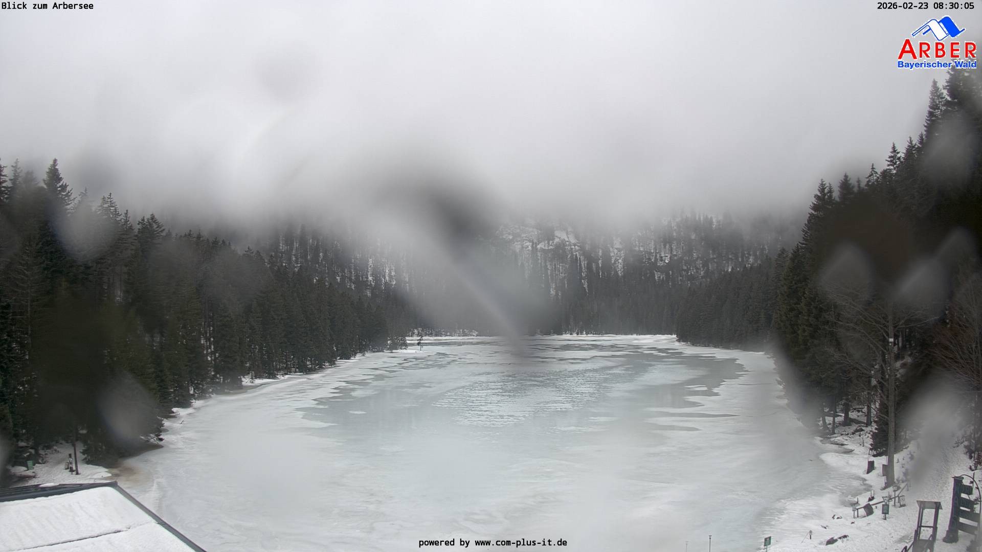 Archiv Foto Webcam Großer Arbersee - Bayerischer Wald