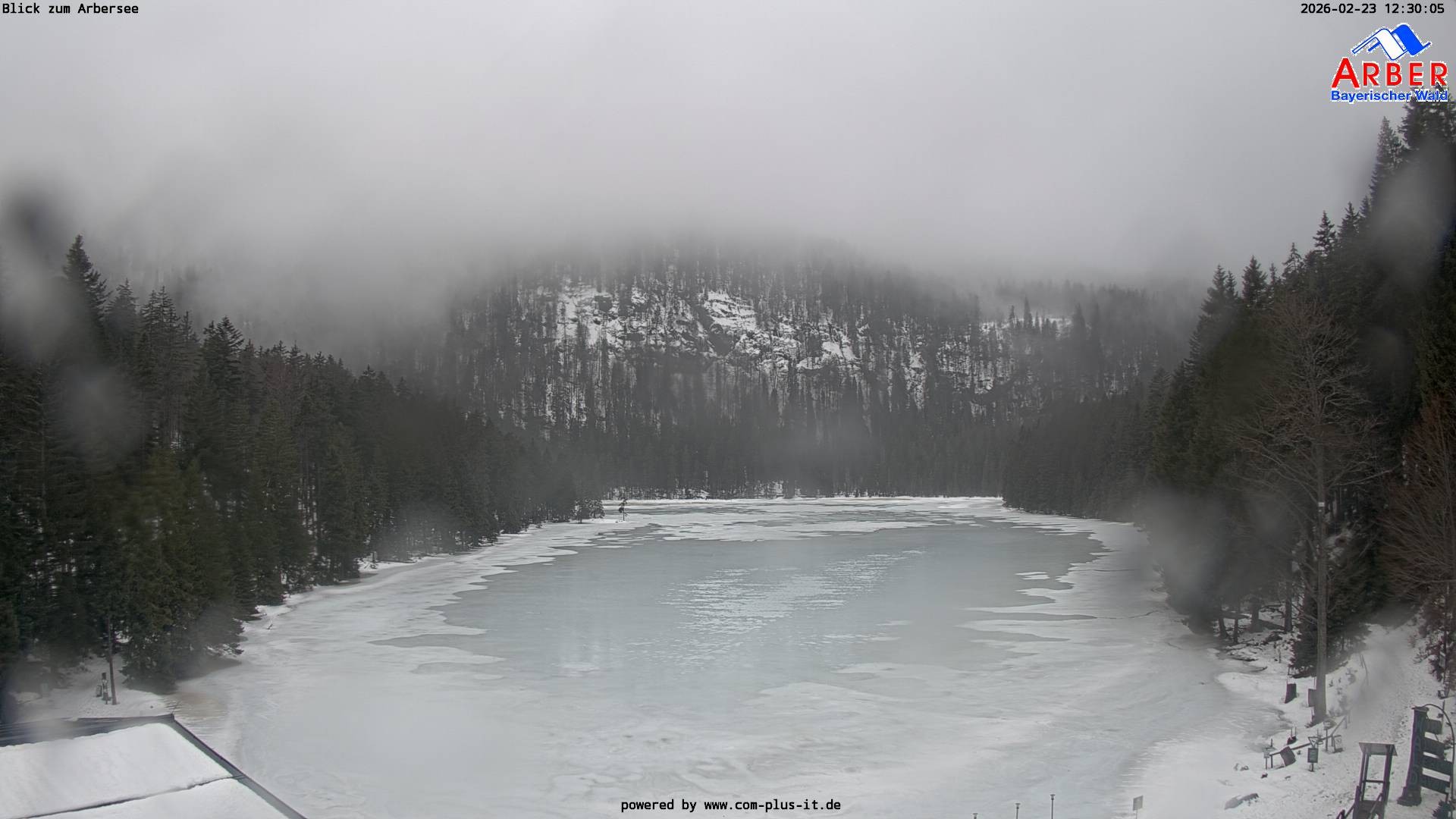 Archiv Foto Webcam Großer Arbersee - Bayerischer Wald