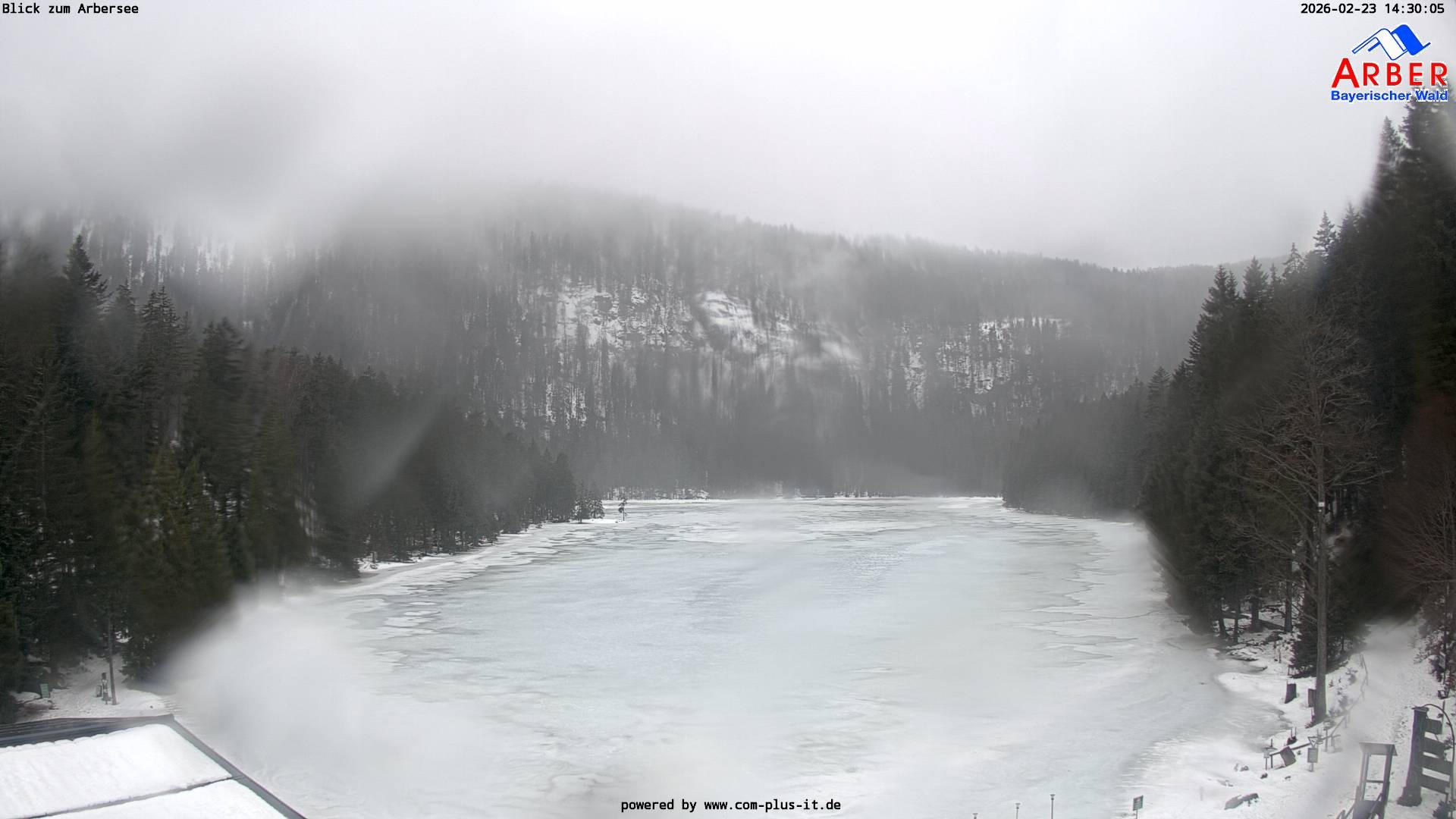 Archiv Foto Webcam Großer Arbersee - Bayerischer Wald