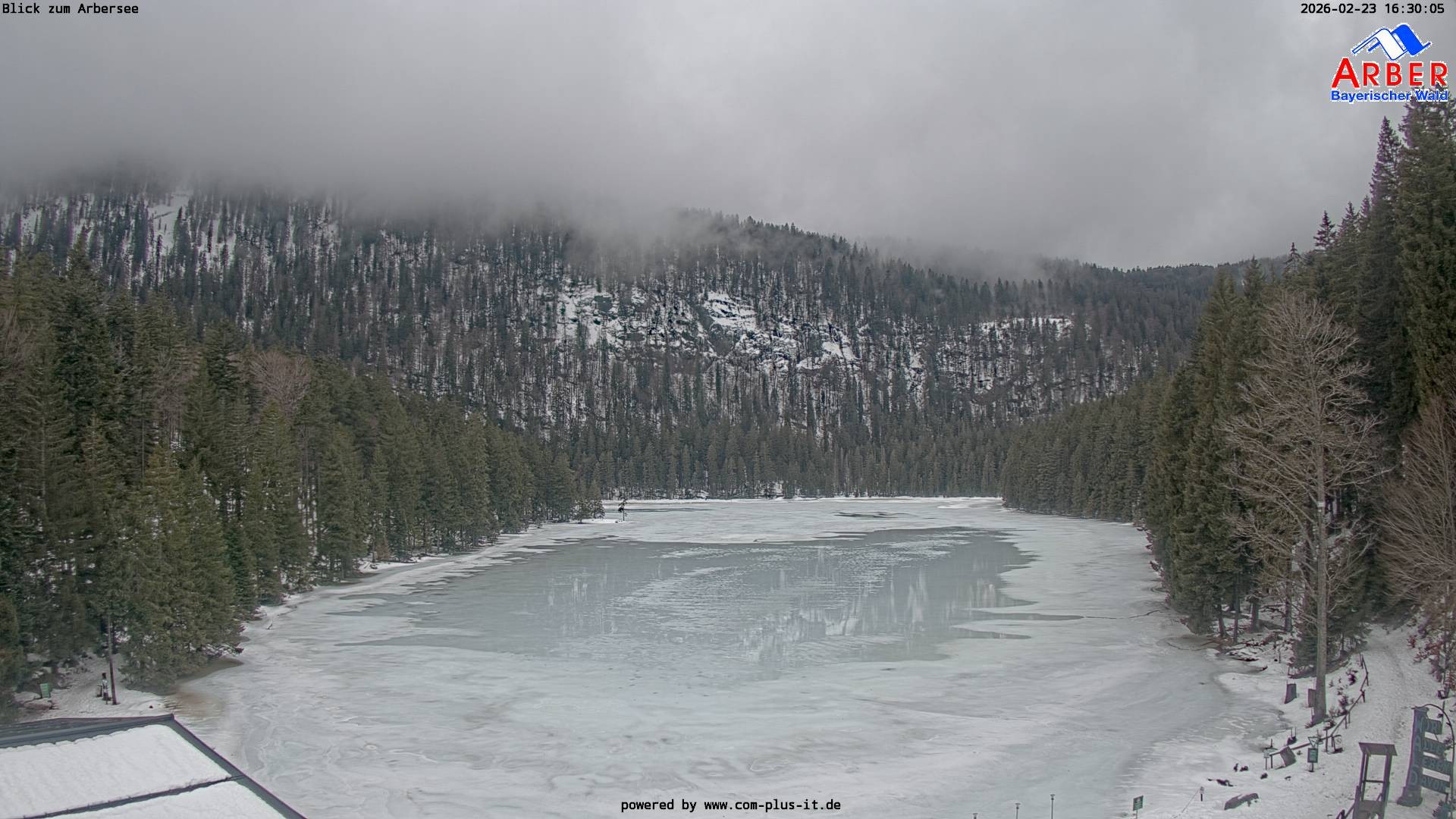 Archiv Foto Webcam Großer Arbersee - Bayerischer Wald