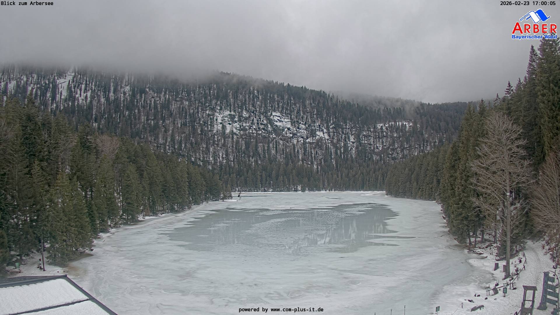 Archiv Foto Webcam Großer Arbersee - Bayerischer Wald