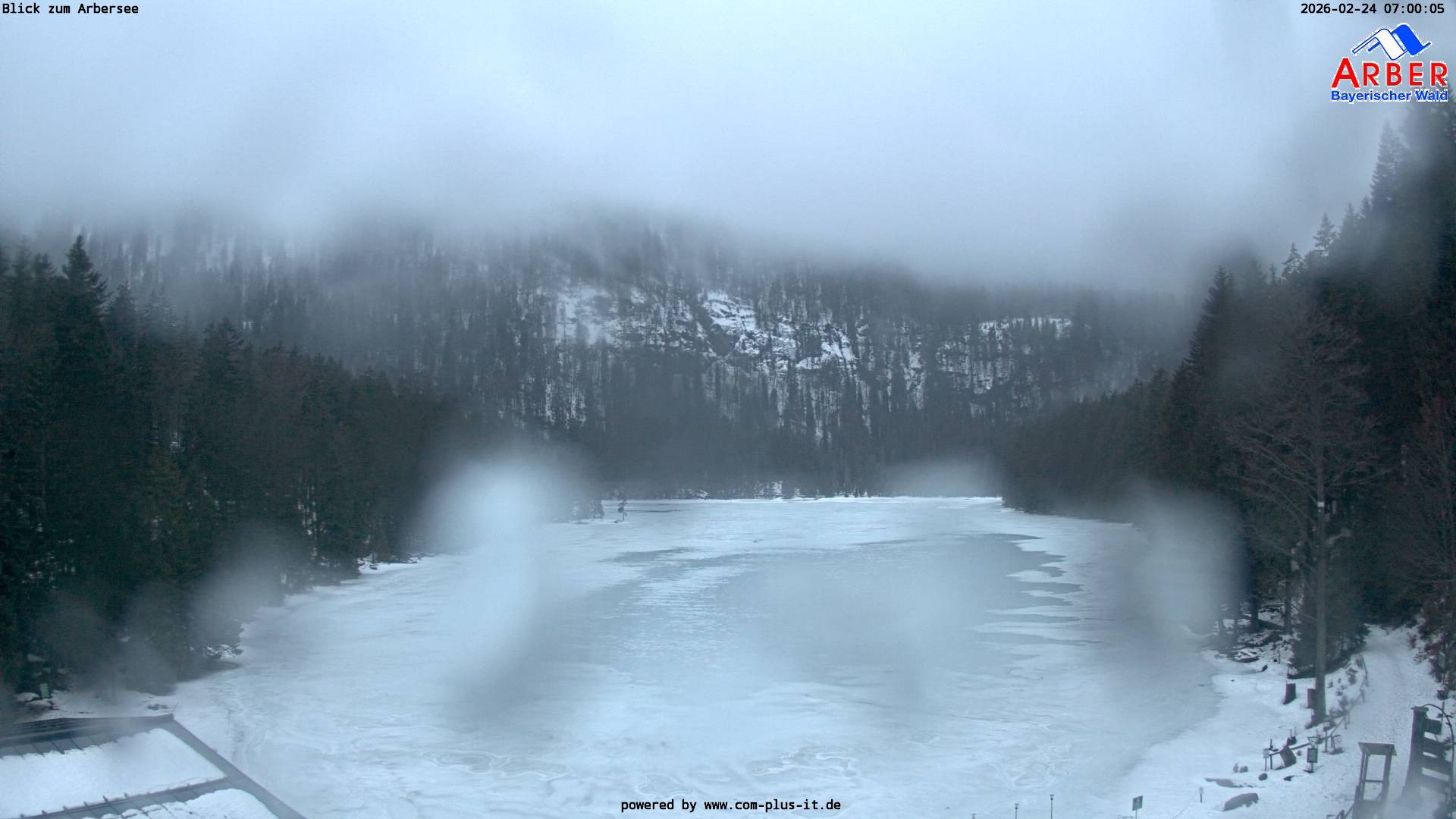 Archiv Foto Webcam Großer Arbersee - Bayerischer Wald