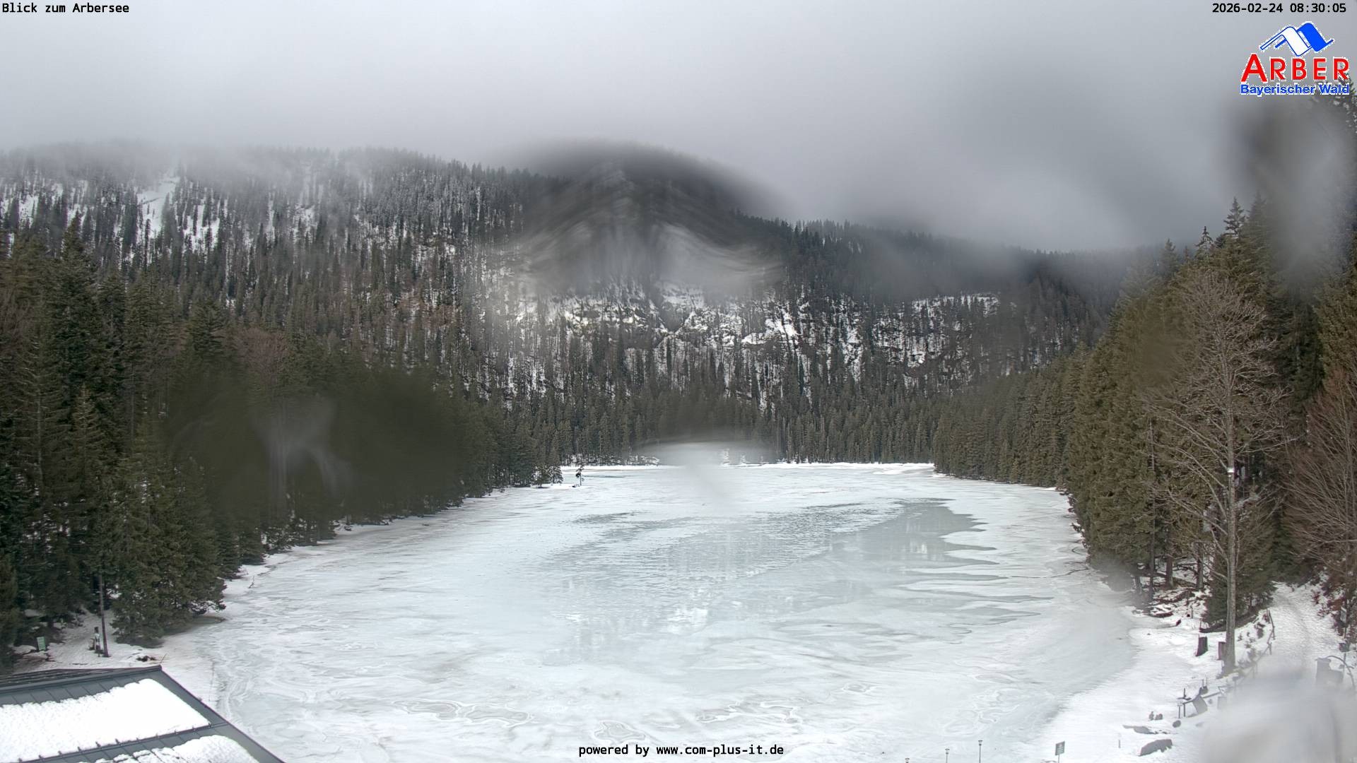 Archiv Foto Webcam Großer Arbersee - Bayerischer Wald