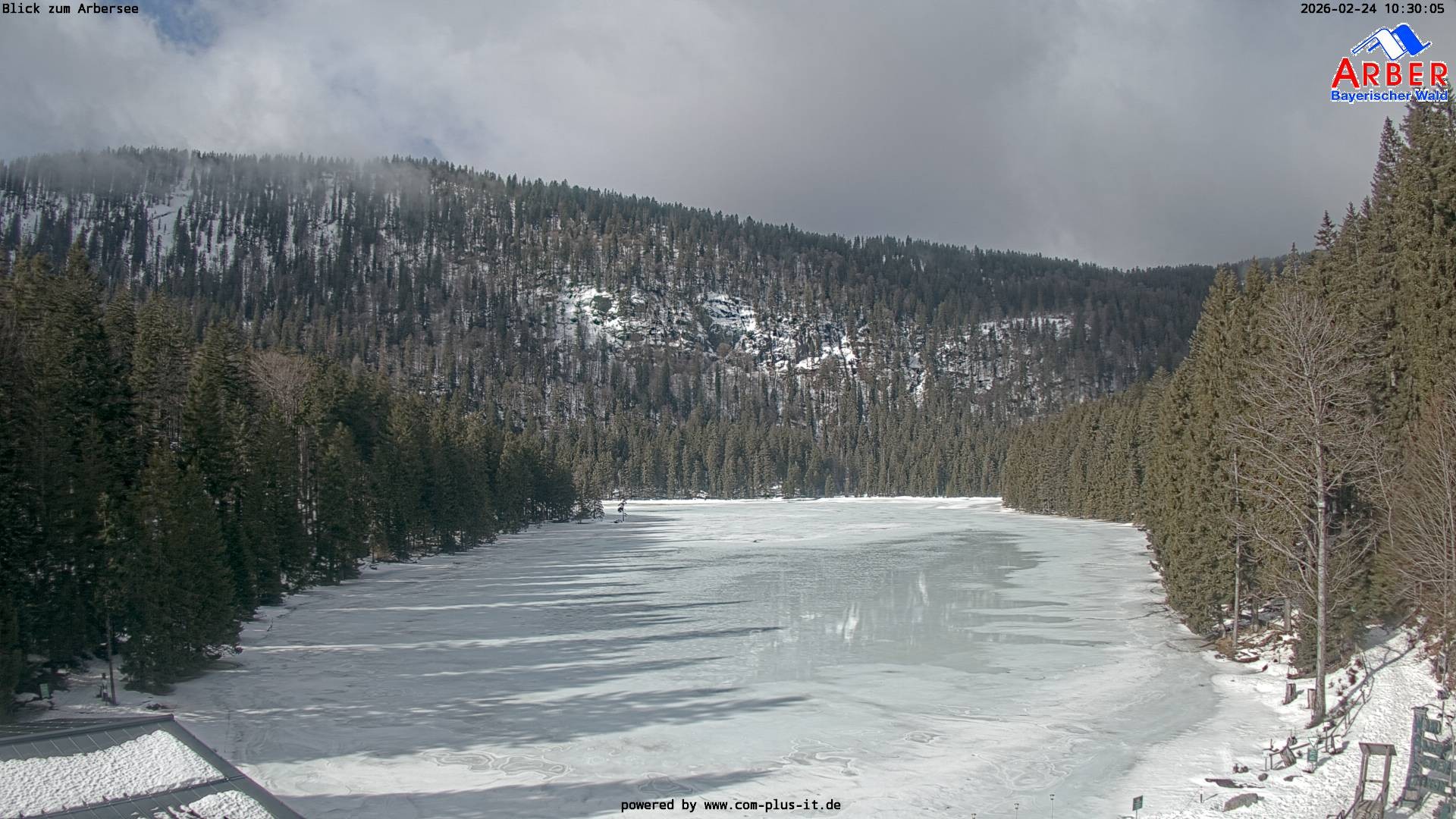 Archiv Foto Webcam Großer Arbersee - Bayerischer Wald