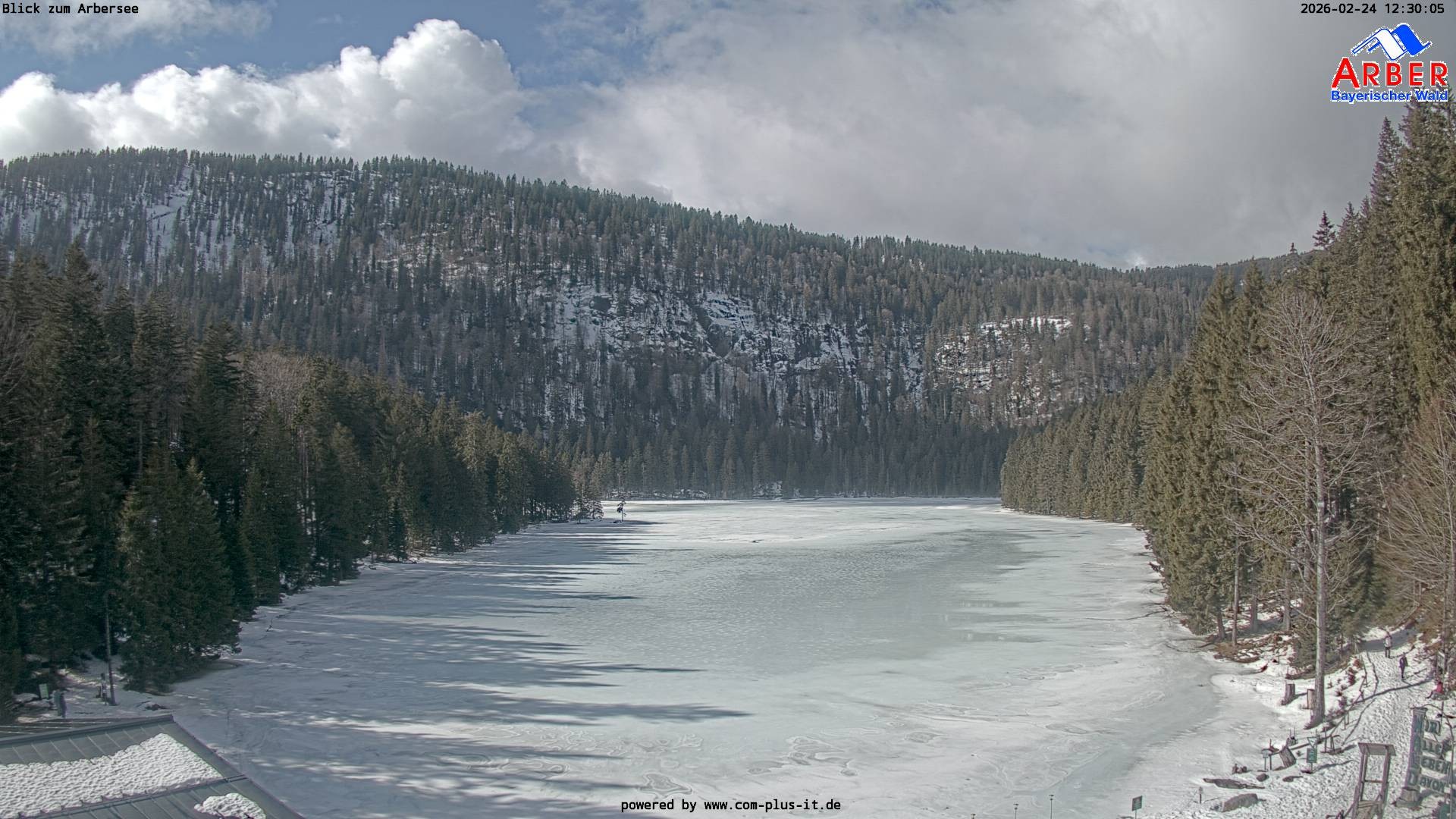 Archiv Foto Webcam Großer Arbersee - Bayerischer Wald