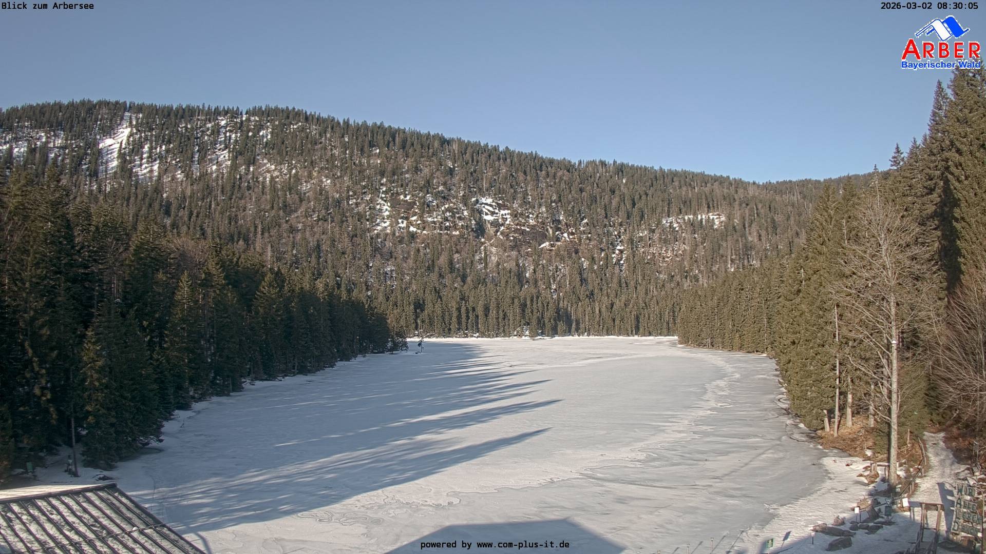 Archiv Foto Webcam Großer Arbersee - Bayerischer Wald