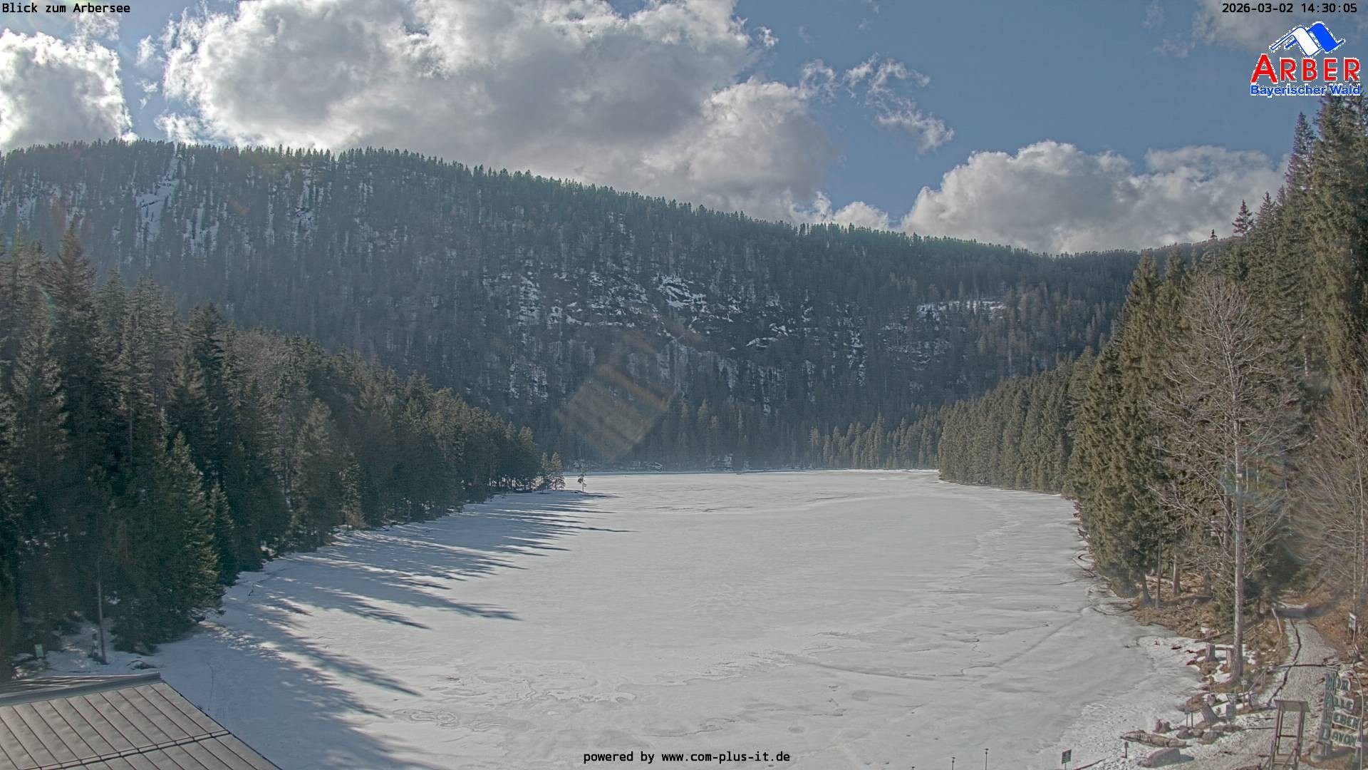 Archiv Foto Webcam Großer Arbersee - Bayerischer Wald