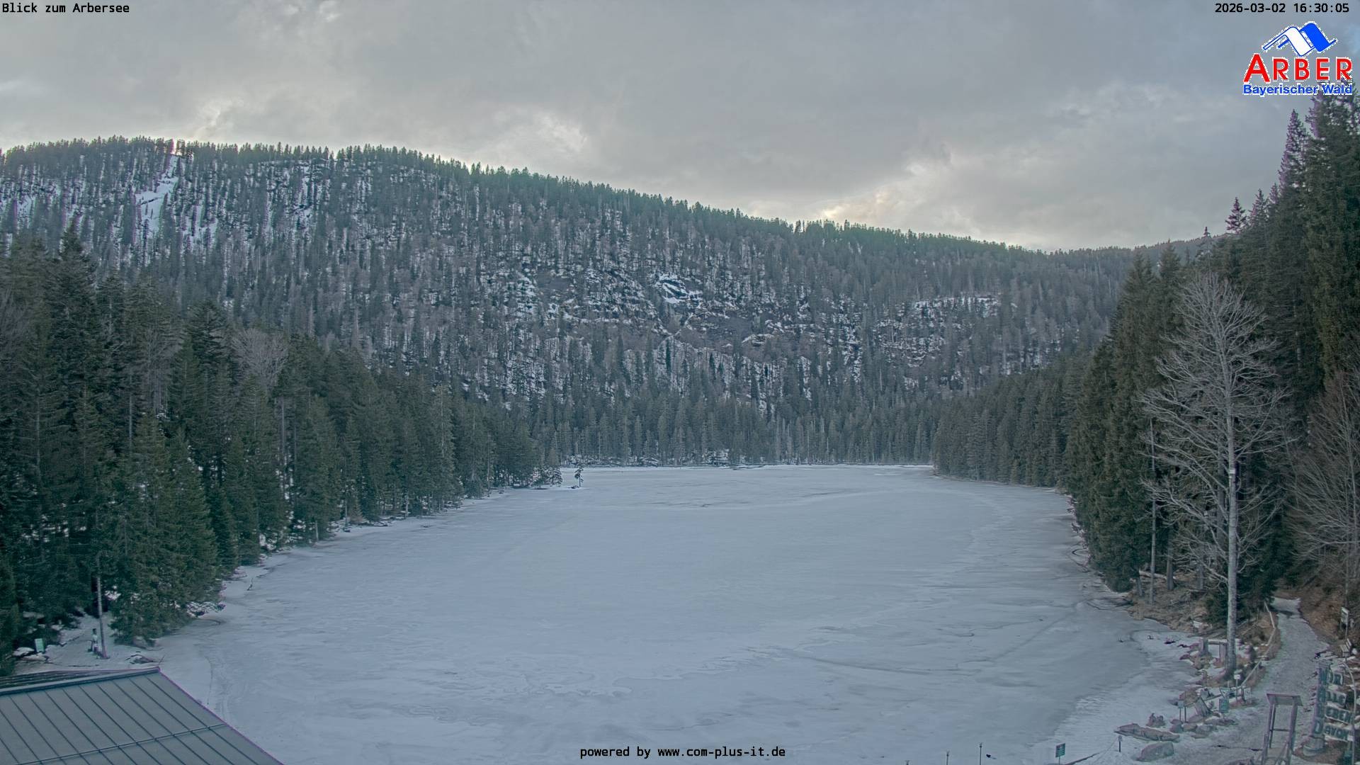Archiv Foto Webcam Großer Arbersee - Bayerischer Wald