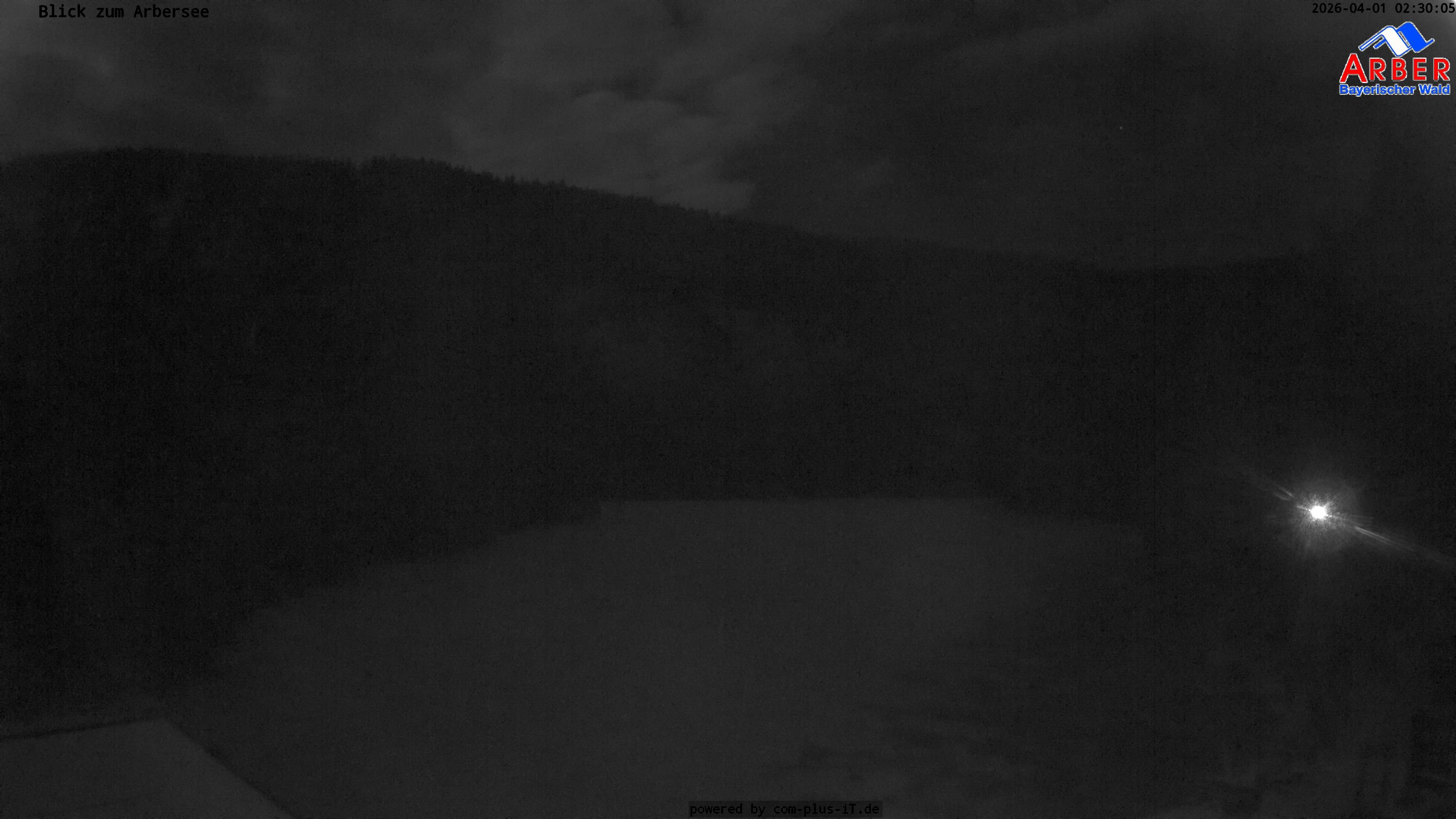 Archived image Webcam Lake "Großer Arbersee" (Bavarian Forest)