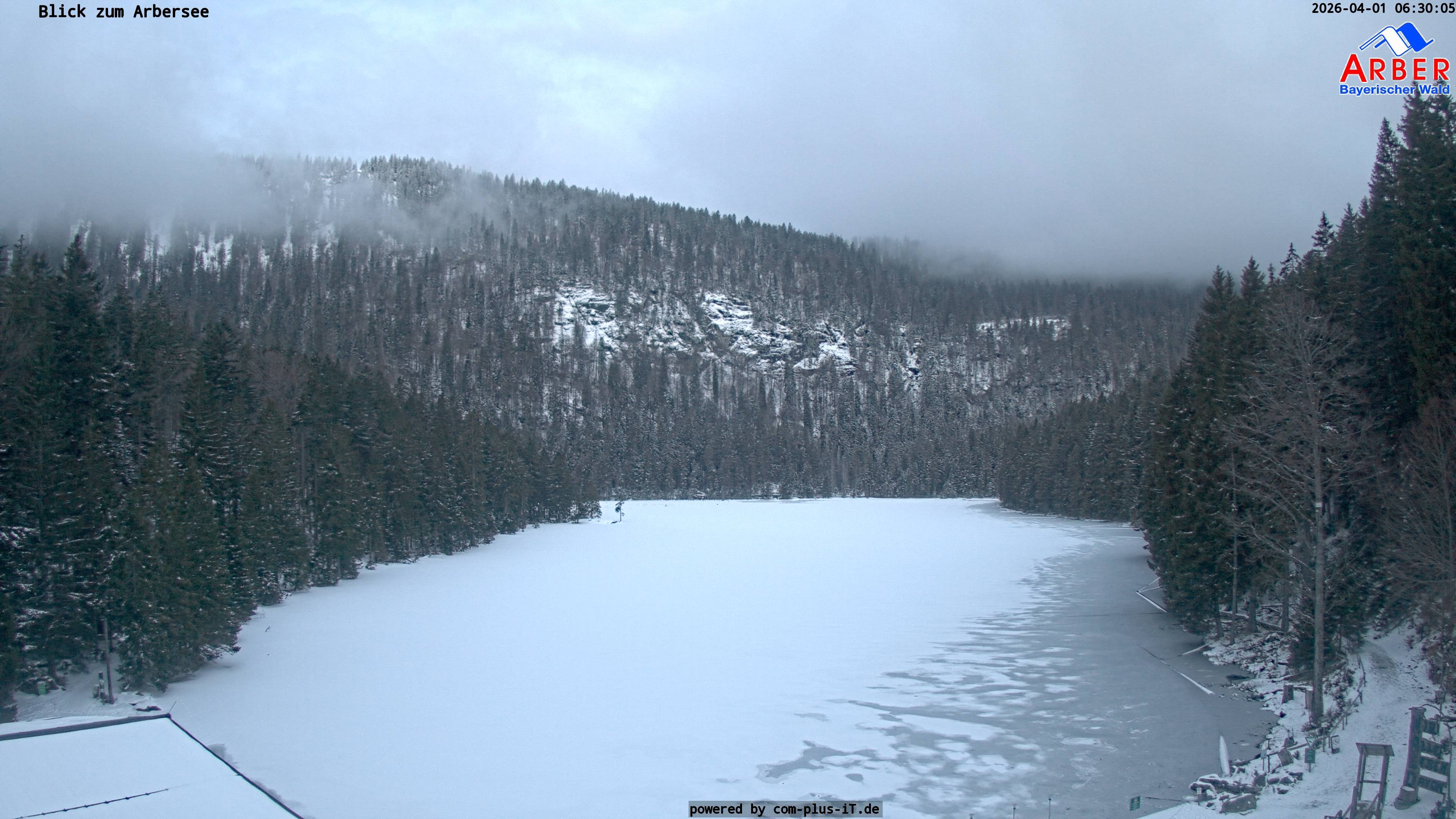 Archived image Webcam Lake "Großer Arbersee" (Bavarian Forest)