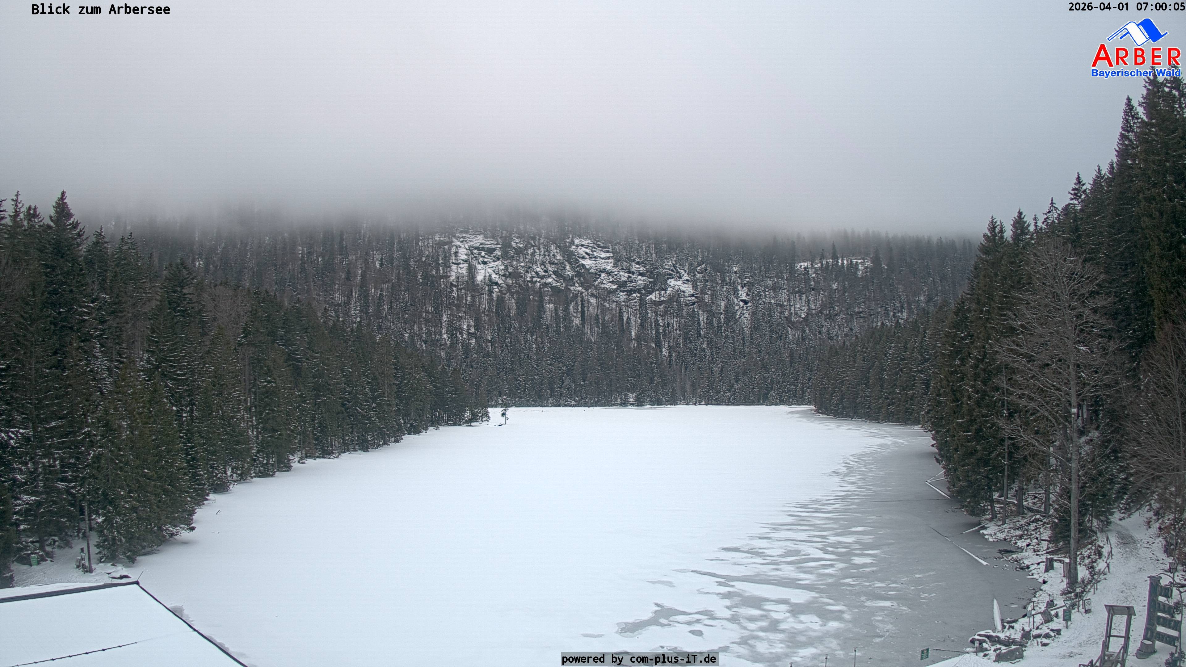 Archived image Webcam Lake "Großer Arbersee" (Bavarian Forest)
