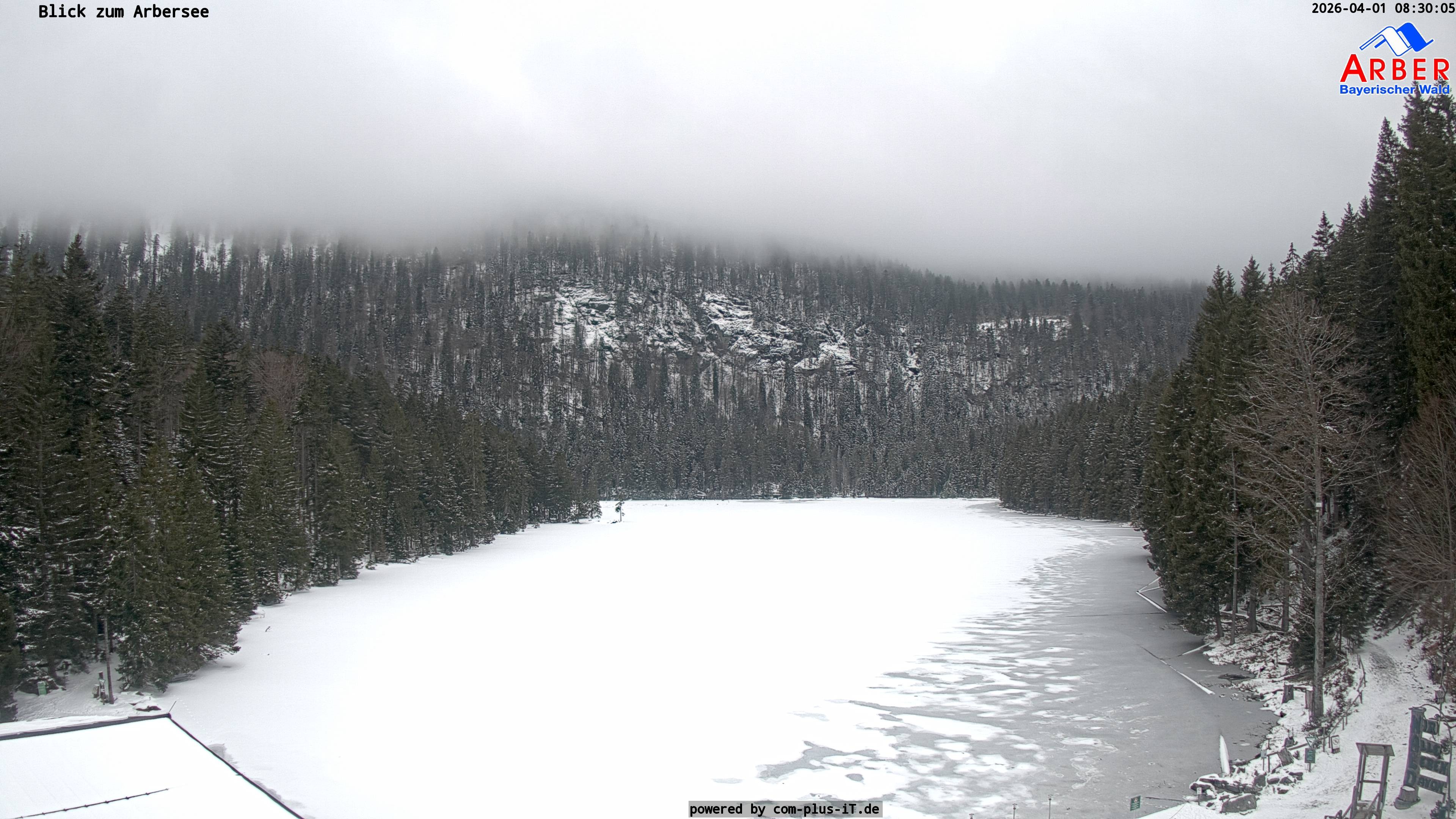 Archived image Webcam Lake "Großer Arbersee" (Bavarian Forest)