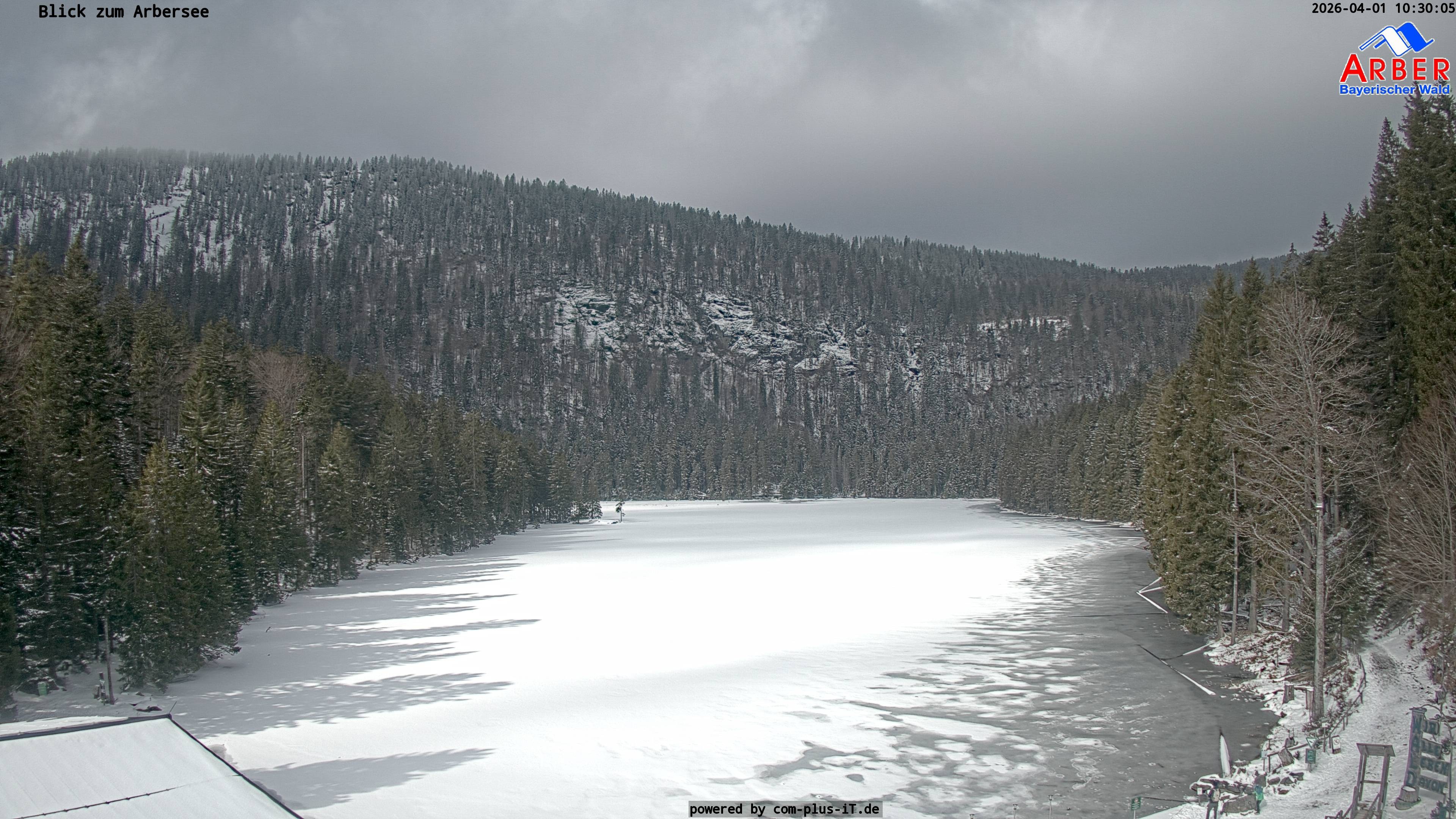 Archived image Webcam Lake "Großer Arbersee" (Bavarian Forest)