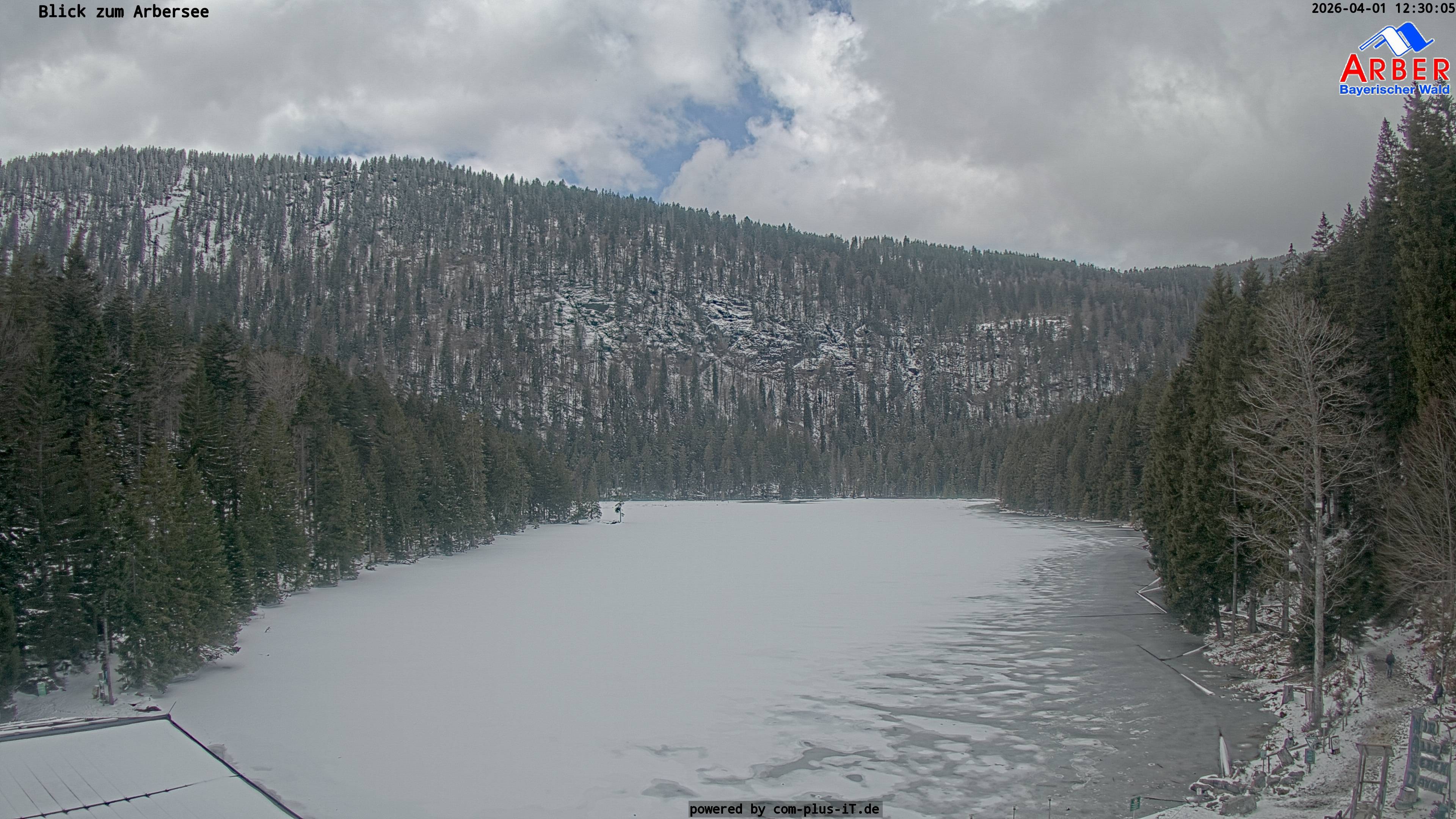 Archived image Webcam Lake "Großer Arbersee" (Bavarian Forest)