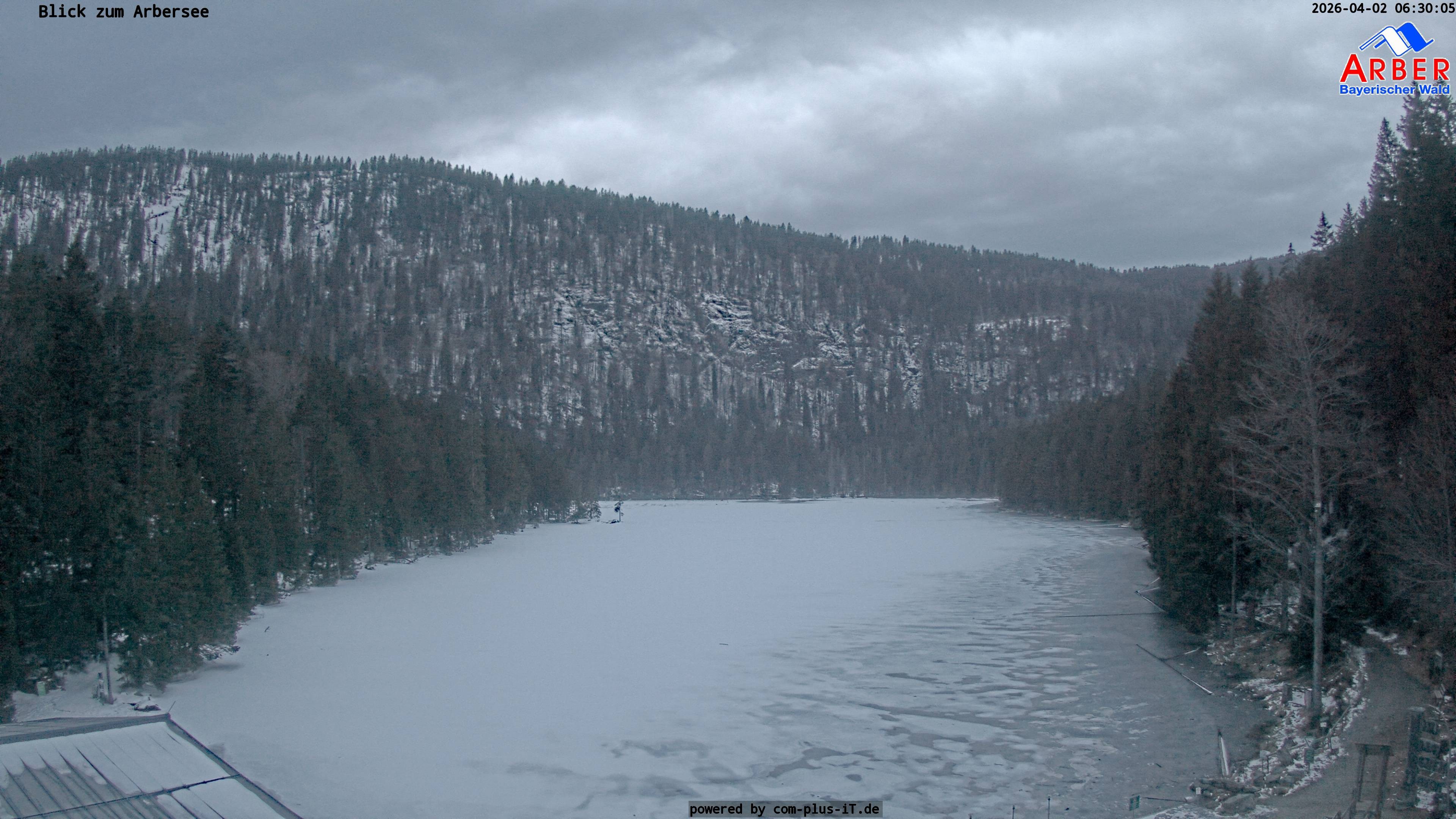 Archiv Foto Webcam Großer Arbersee - Bayerischer Wald