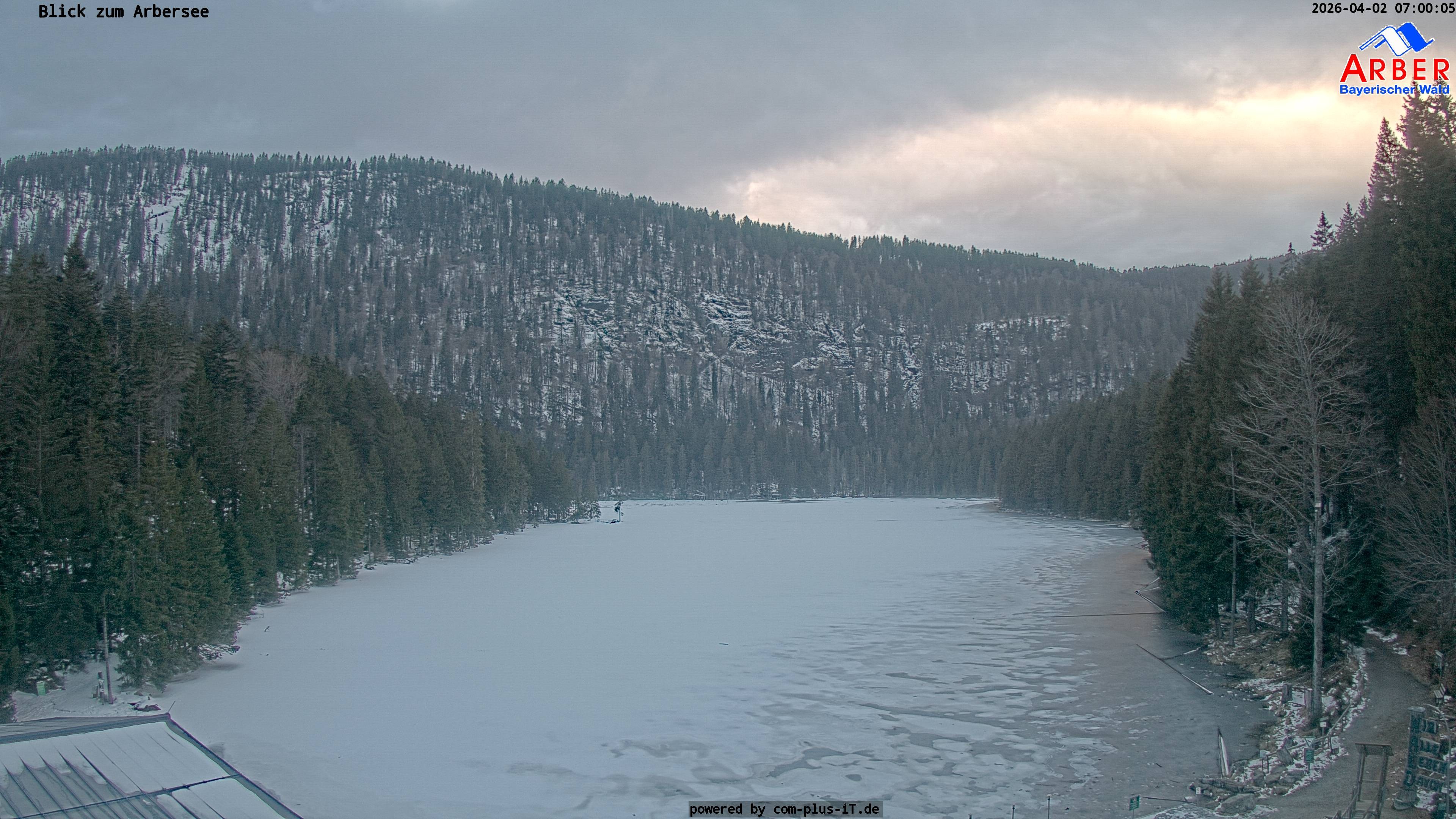 Archiv Foto Webcam Großer Arbersee - Bayerischer Wald