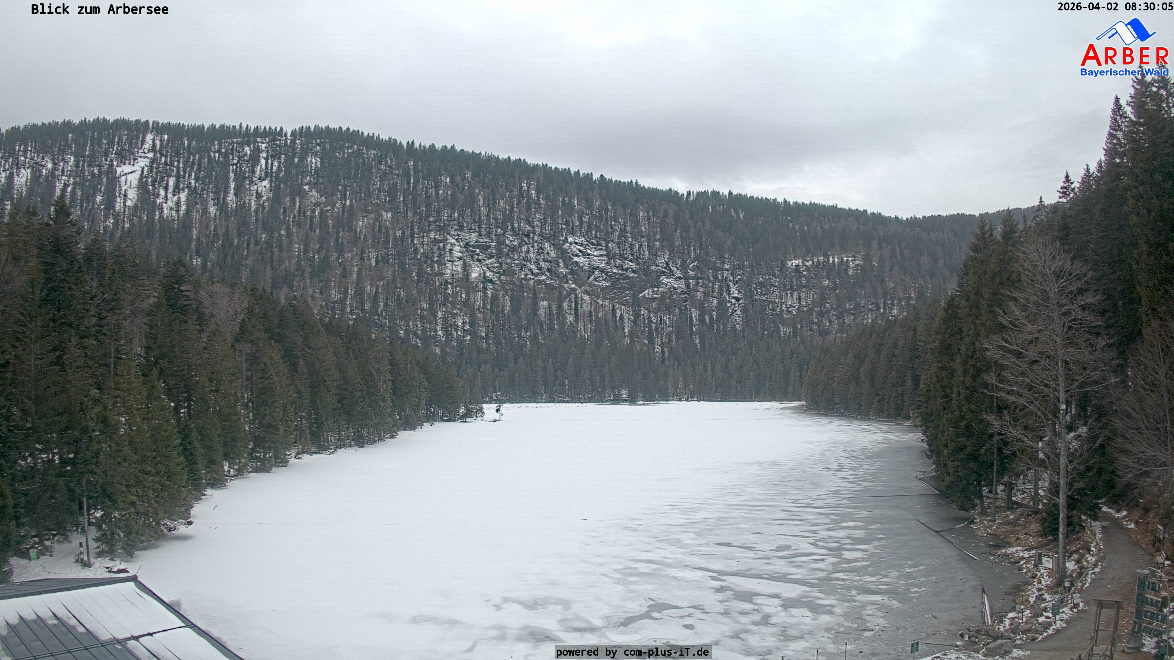 Archiv Foto Webcam Großer Arbersee - Bayerischer Wald