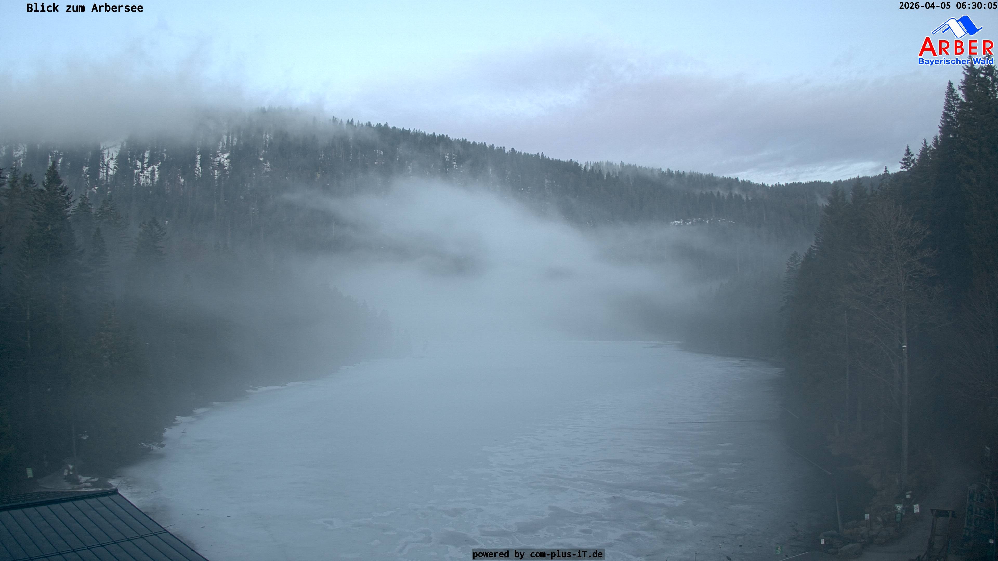 Archiv Foto Webcam Großer Arbersee - Bayerischer Wald