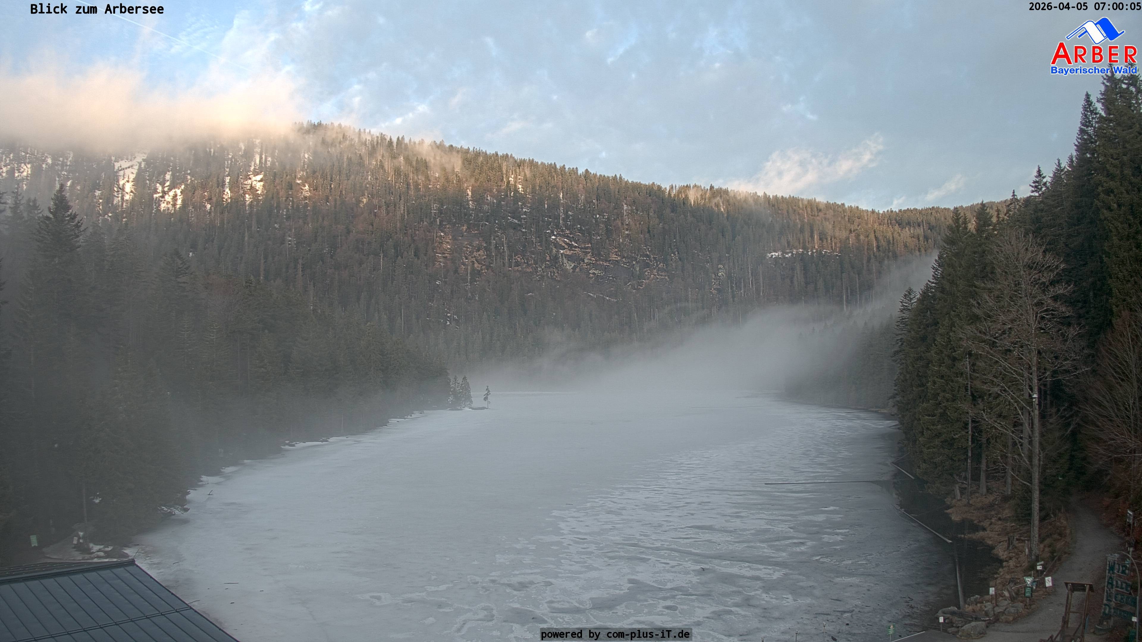 Archiv Foto Webcam Großer Arbersee - Bayerischer Wald