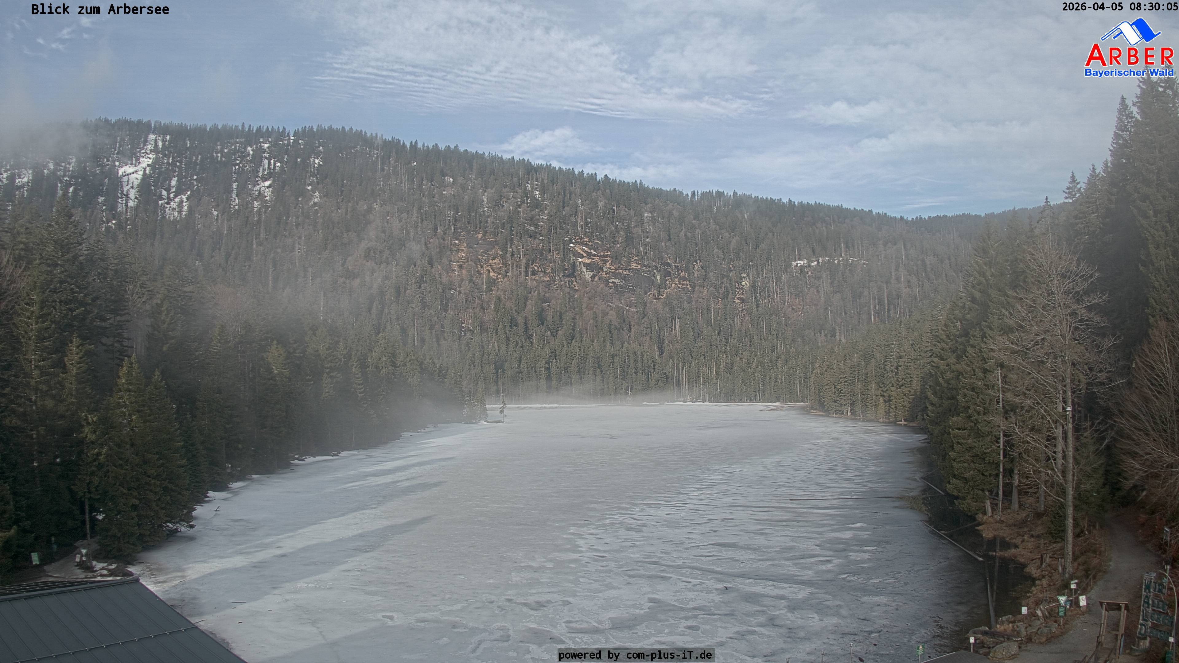 Archiv Foto Webcam Großer Arbersee - Bayerischer Wald