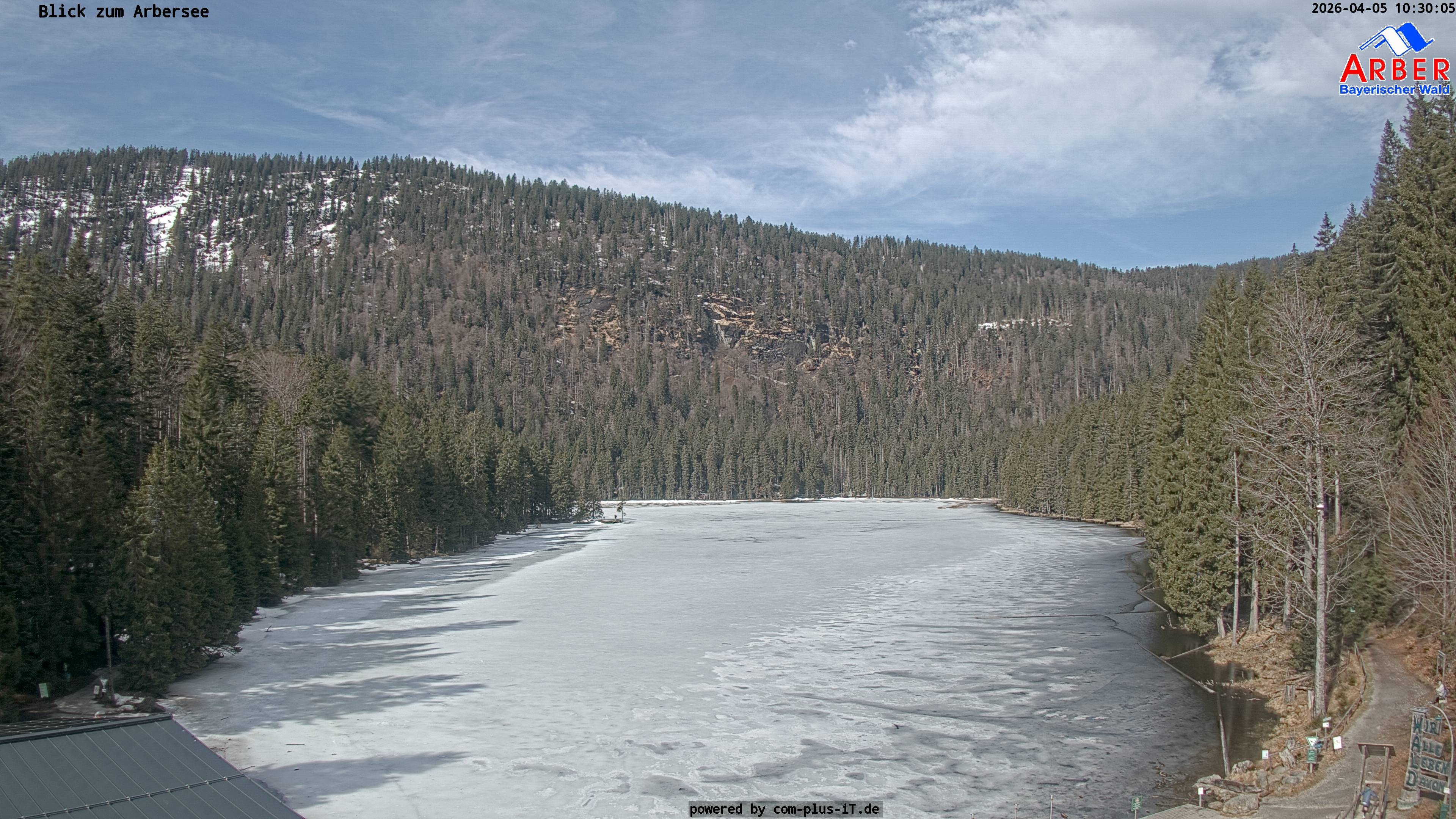 Archiv Foto Webcam Großer Arbersee - Bayerischer Wald