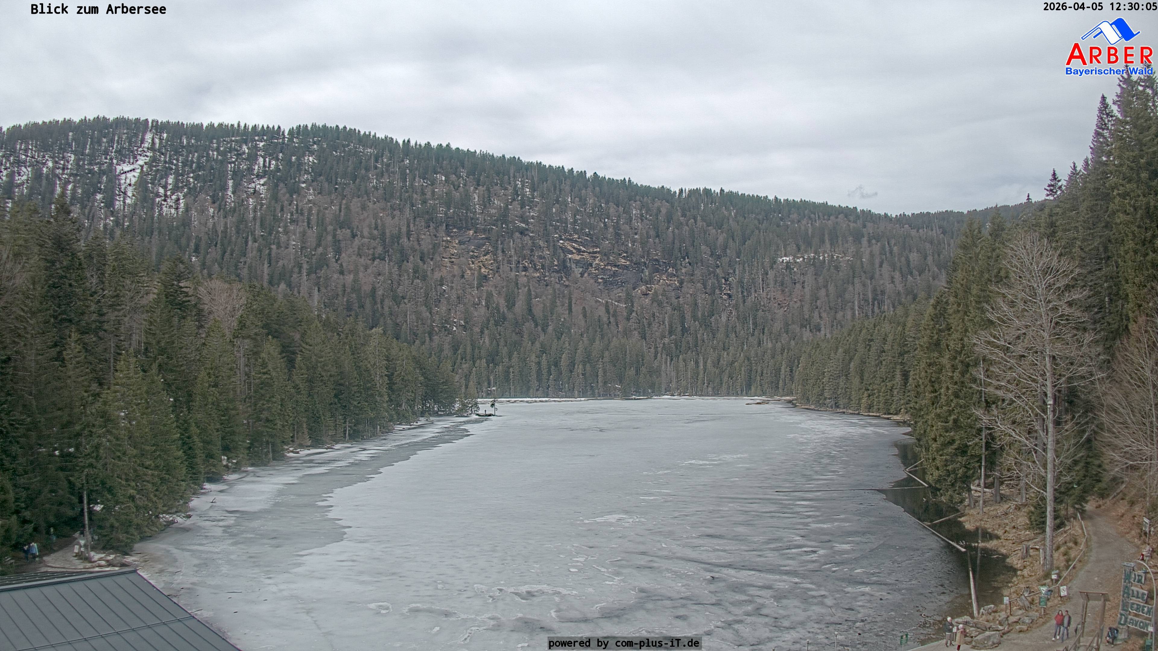 Archiv Foto Webcam Großer Arbersee - Bayerischer Wald