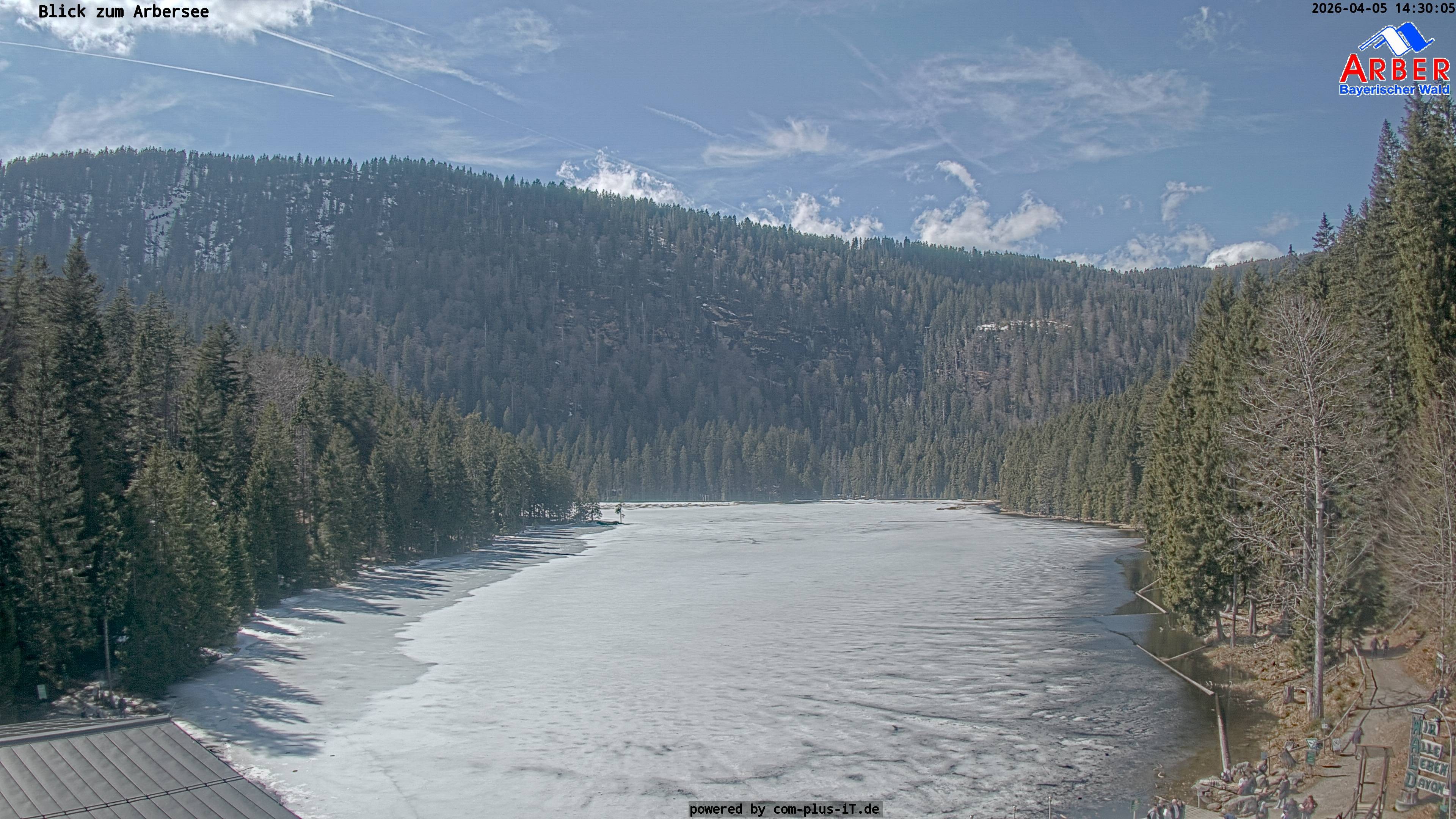 Archiv Foto Webcam Großer Arbersee - Bayerischer Wald